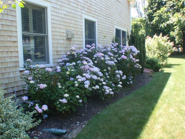 649 Country Way, Unit 2 Scituate, MA 02066 - Photo 2 of 15 Gallery Image 2