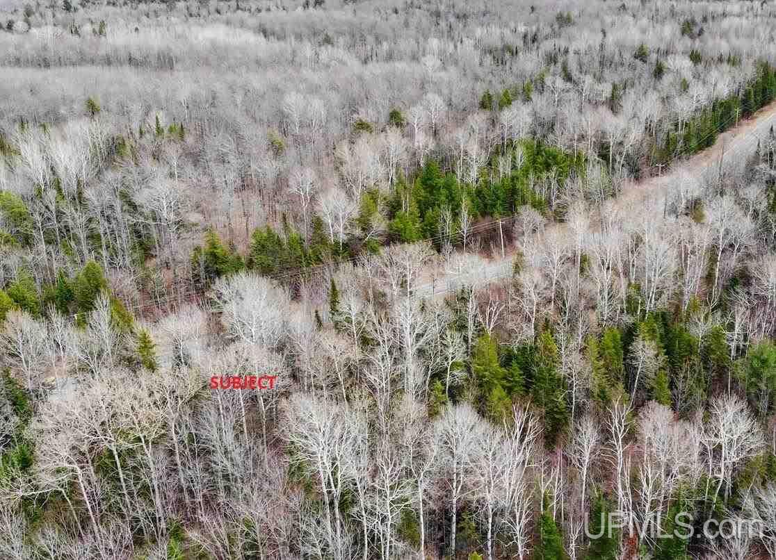 Tbd Dogpatch Road, Unit LOT I Lanse, MI 49946 - Photo 23 of 25