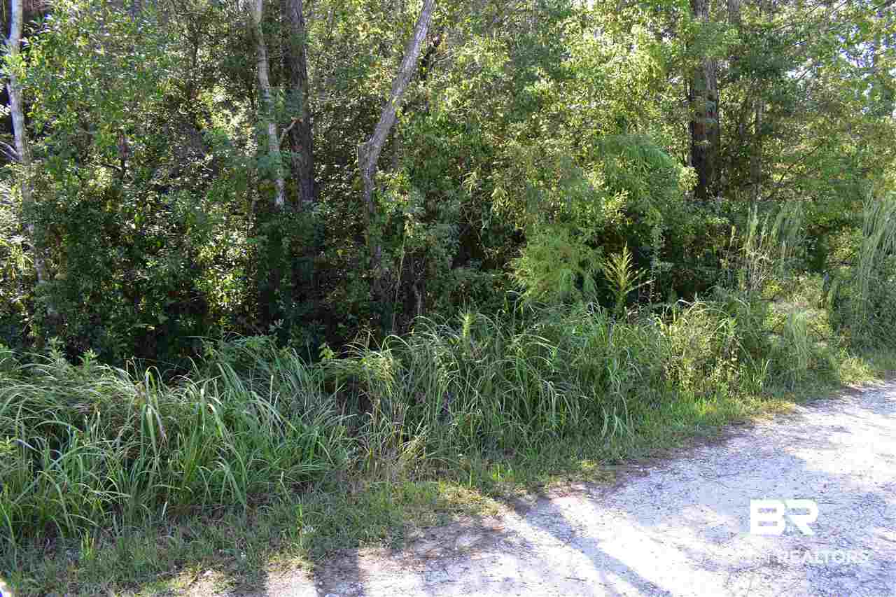 Lot 11 Bay Pines Road Elberta, AL 36530 - Photo 1 of 4