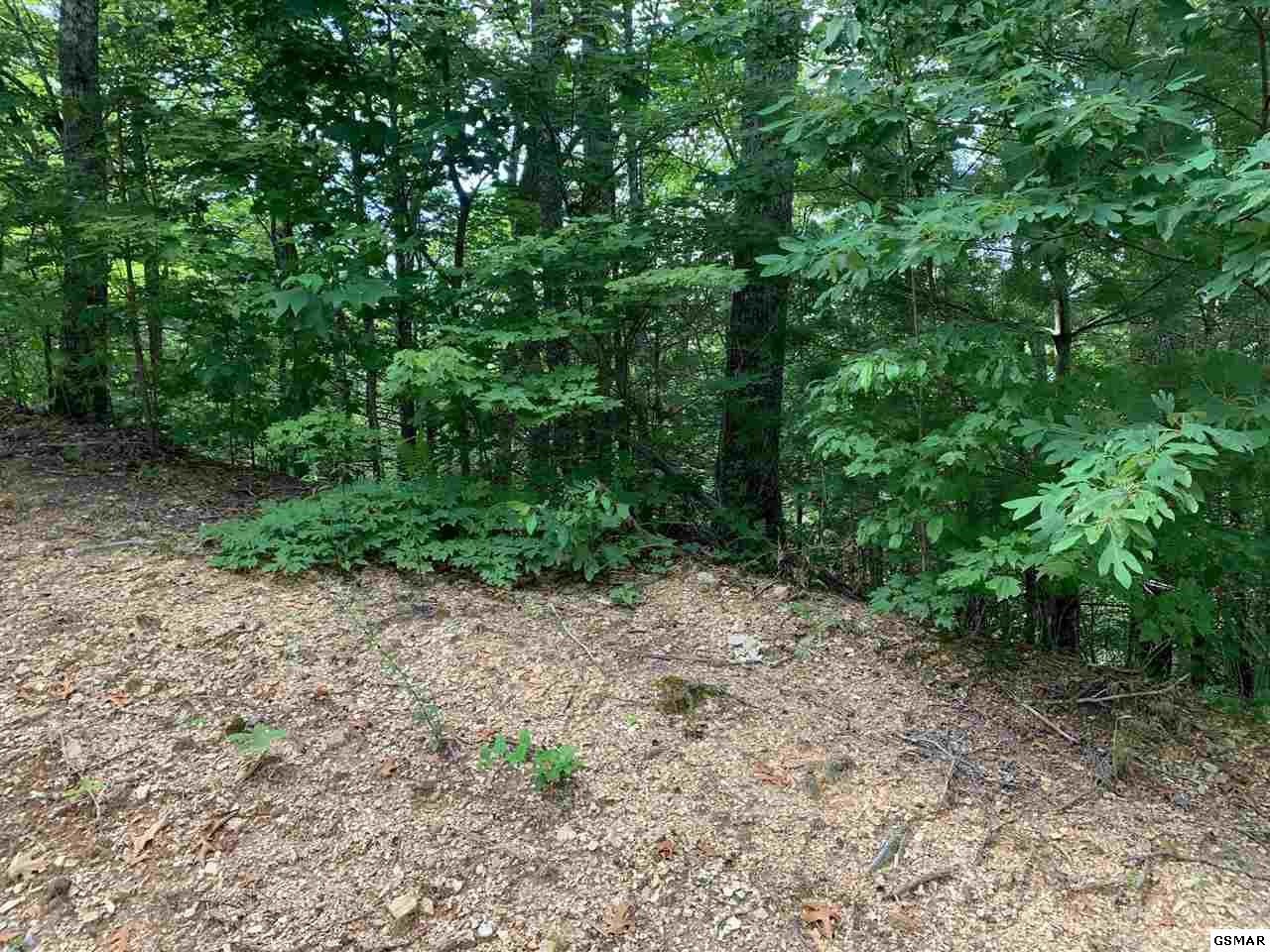 91 Bird View Lane Sevierville, TN 37862 - Photo 2 of 3