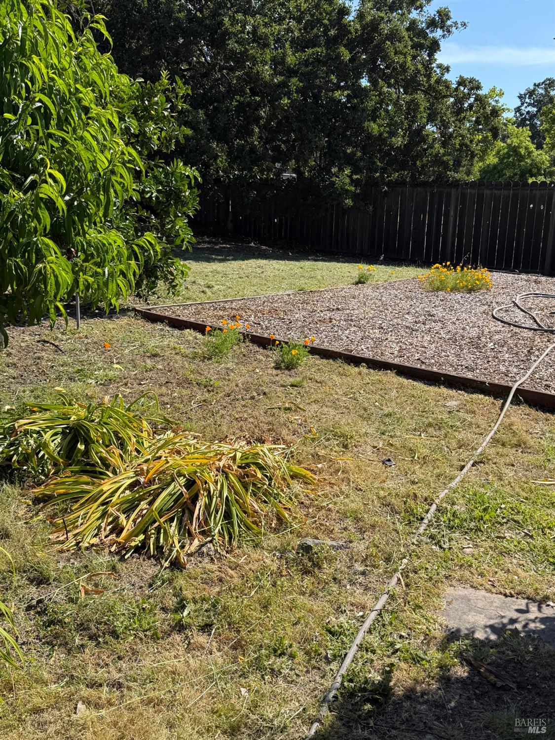 1927 Marsh Road Santa Rosa, CA 95403 - Photo 19 of 31 a view of a yard with an outdoor space