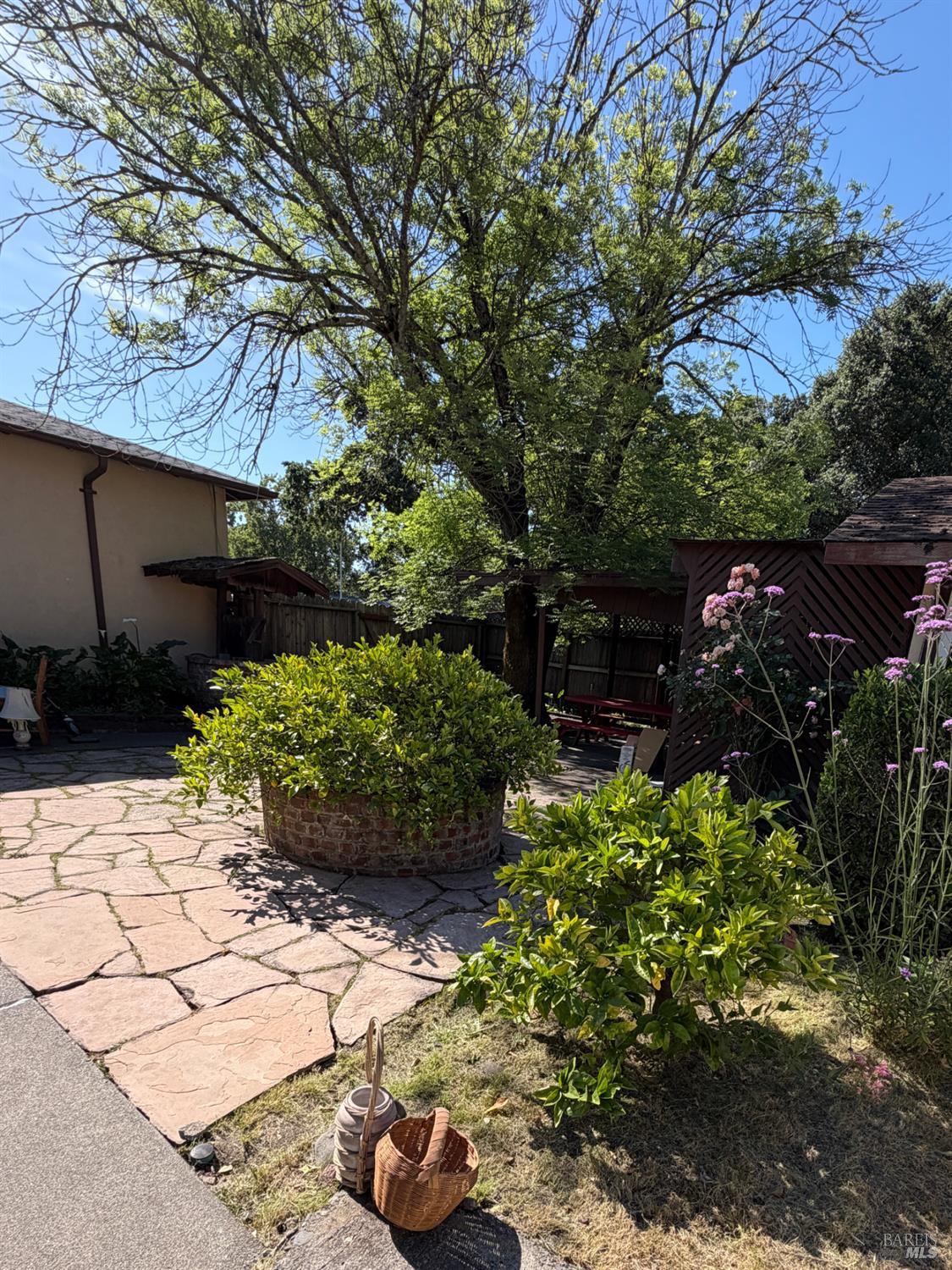 1927 Marsh Road Santa Rosa, CA 95403 - Photo 2 of 31 a bunch of flowers are in a yard
