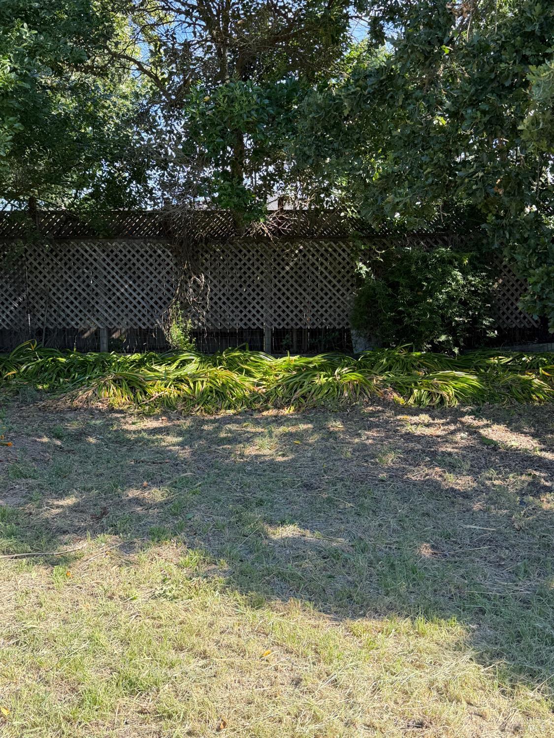1927 Marsh Road Santa Rosa, CA 95403 - Photo 22 of 31 a backyard of a house with a yard and outdoor seating