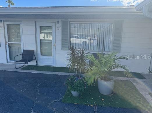a potted plant sitting in front of a house