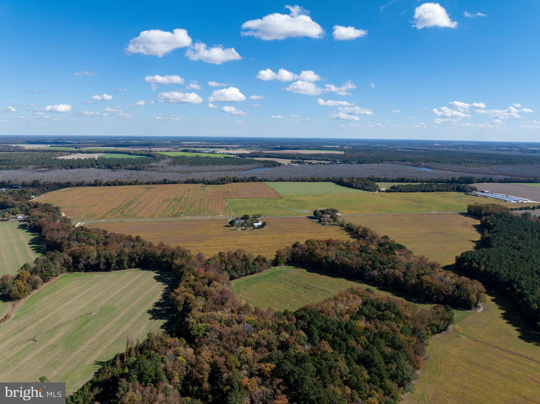 Indiantown Road Rhodesdale, MD 21659 - Photo 13 of 19