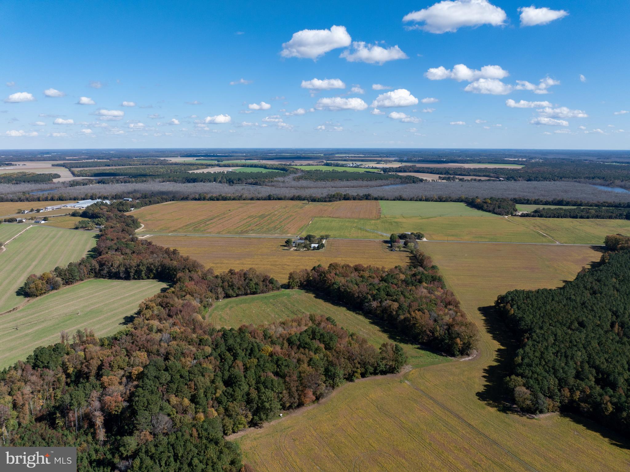 Indiantown Road Rhodesdale, MD 21659 - Photo 14 of 19