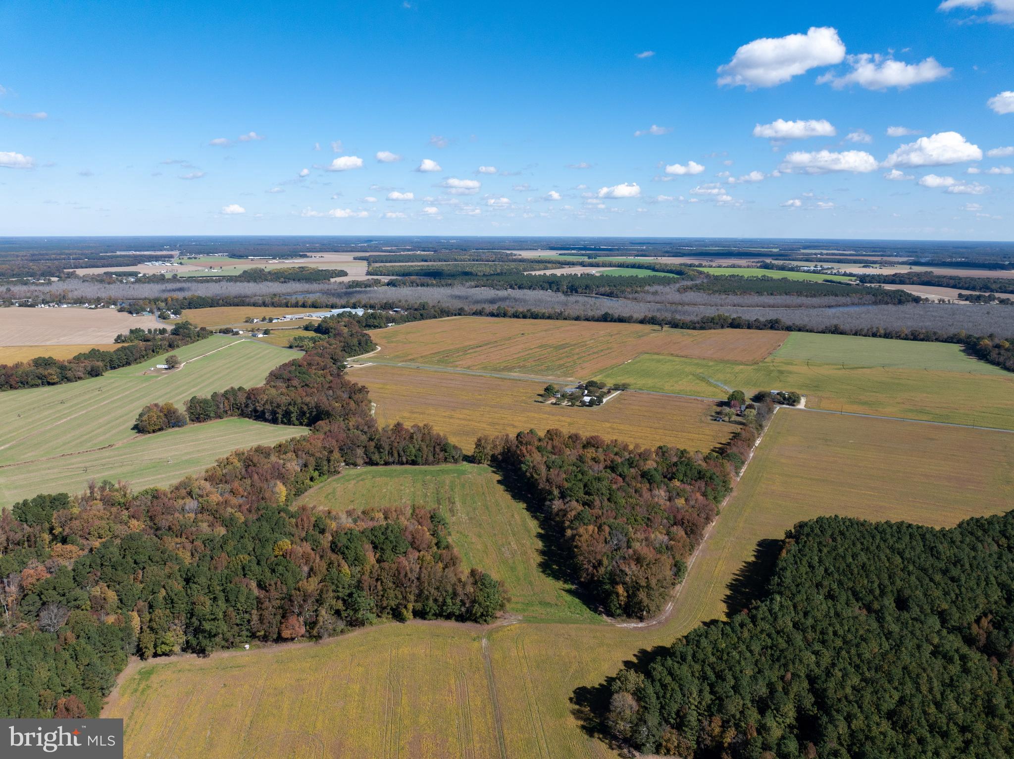Indiantown Road Rhodesdale, MD 21659 - Photo 15 of 19