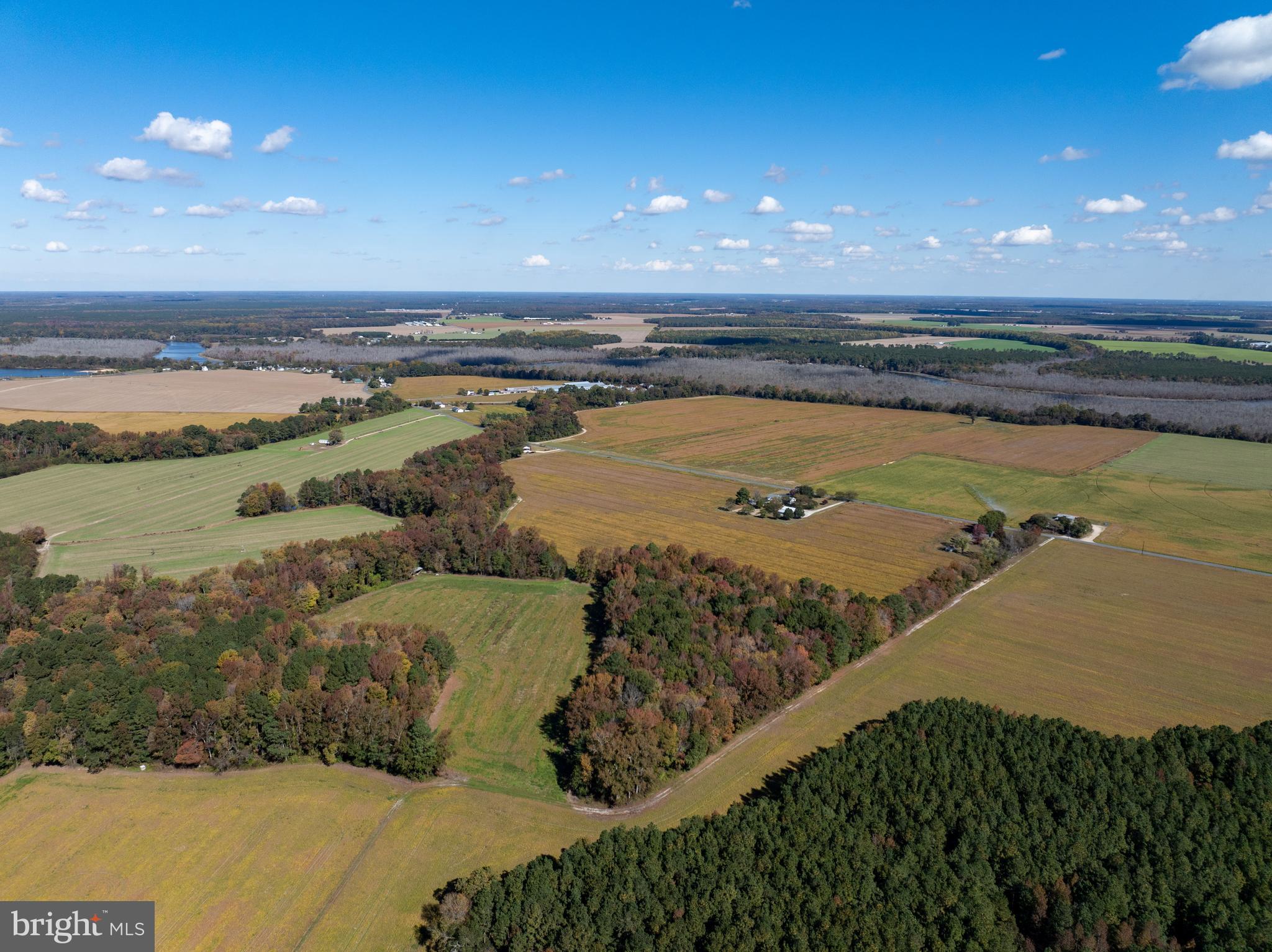 Indiantown Road Rhodesdale, MD 21659 - Photo 16 of 19