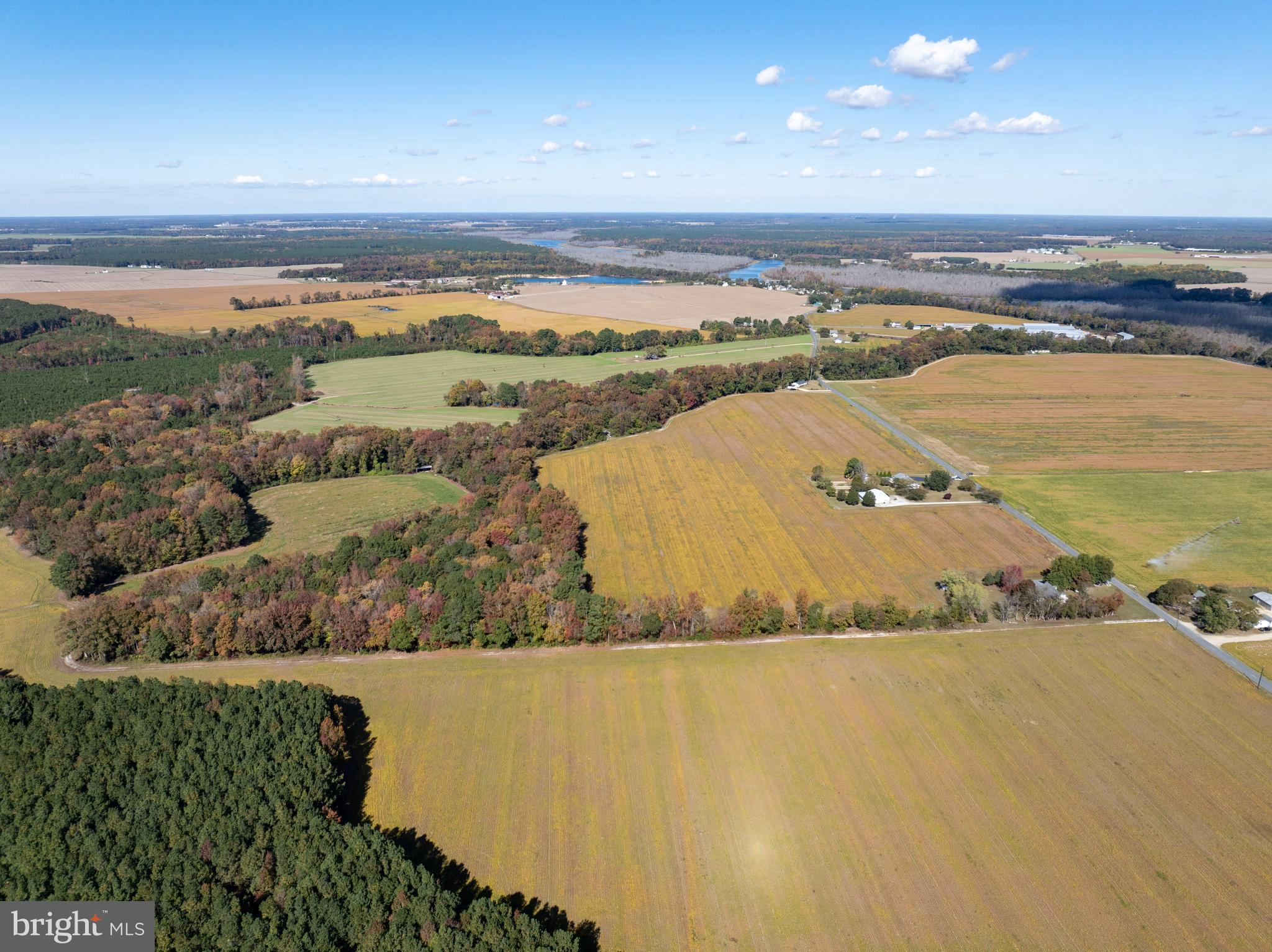 Indiantown Road Rhodesdale, MD 21659 - Photo 18 of 19