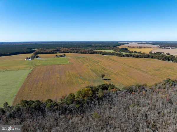 $950,000 | Indiantown Road, Rhodesdale, MD 21659