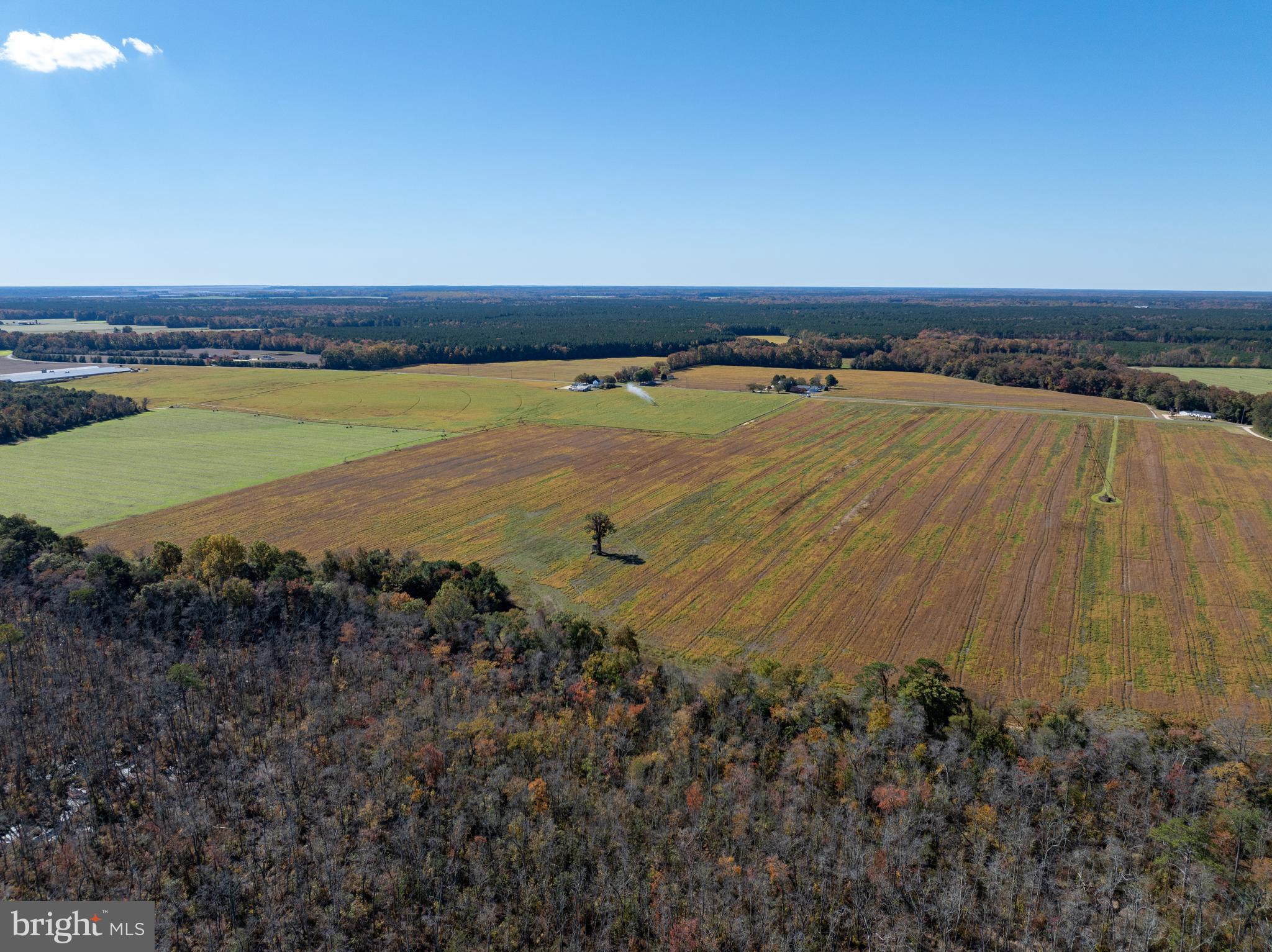 Indiantown Road Rhodesdale, MD 21659 - Photo 6 of 19