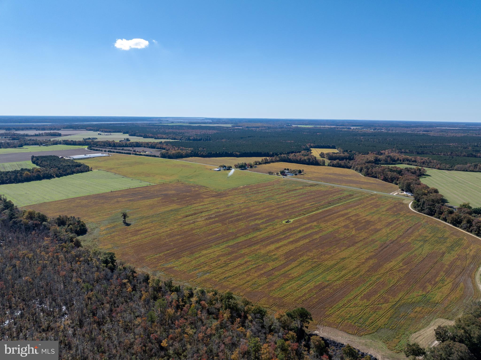 Indiantown Road Rhodesdale, MD 21659 - Photo 7 of 19