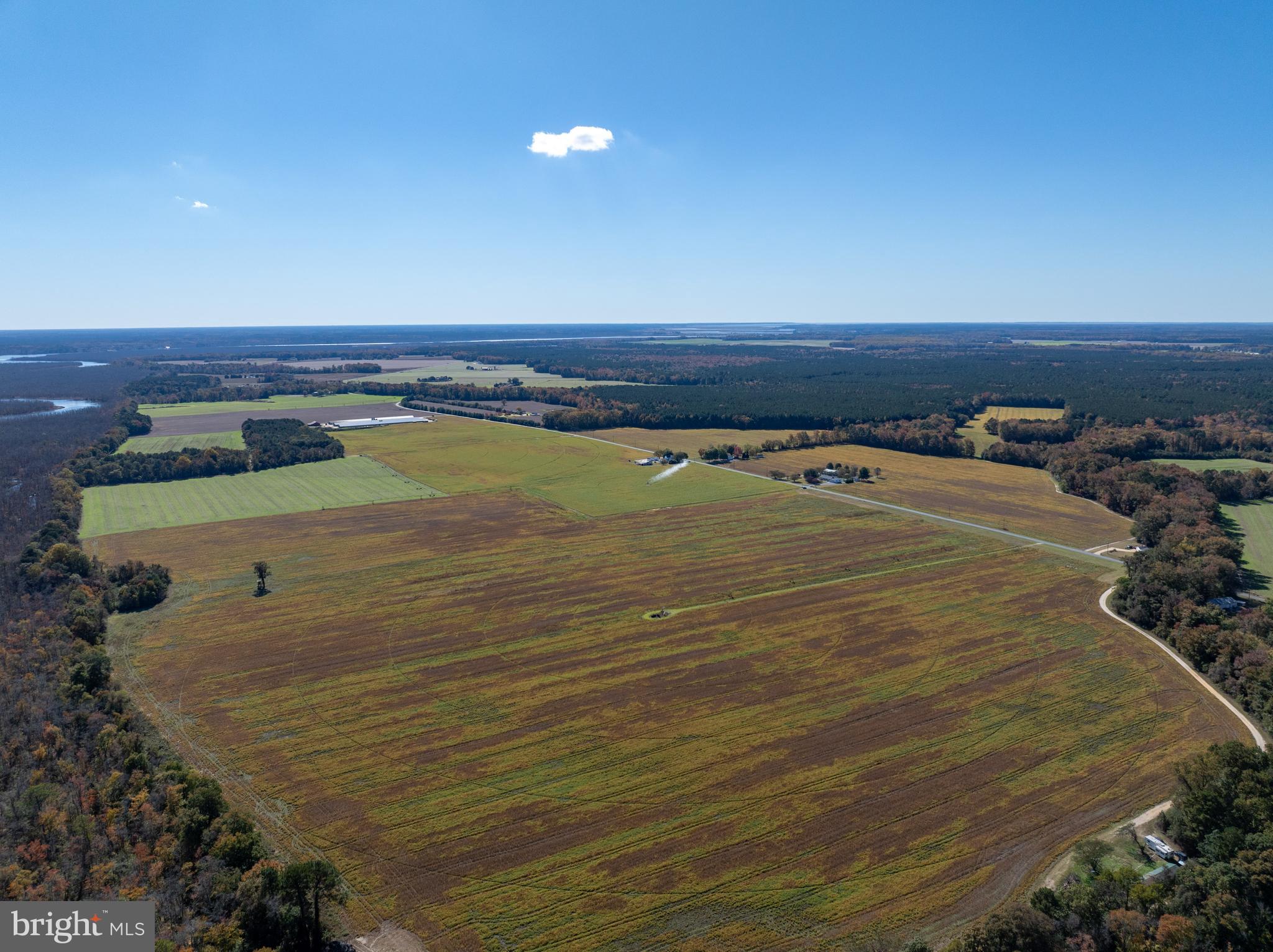 Indiantown Road Rhodesdale, MD 21659 - Photo 8 of 19