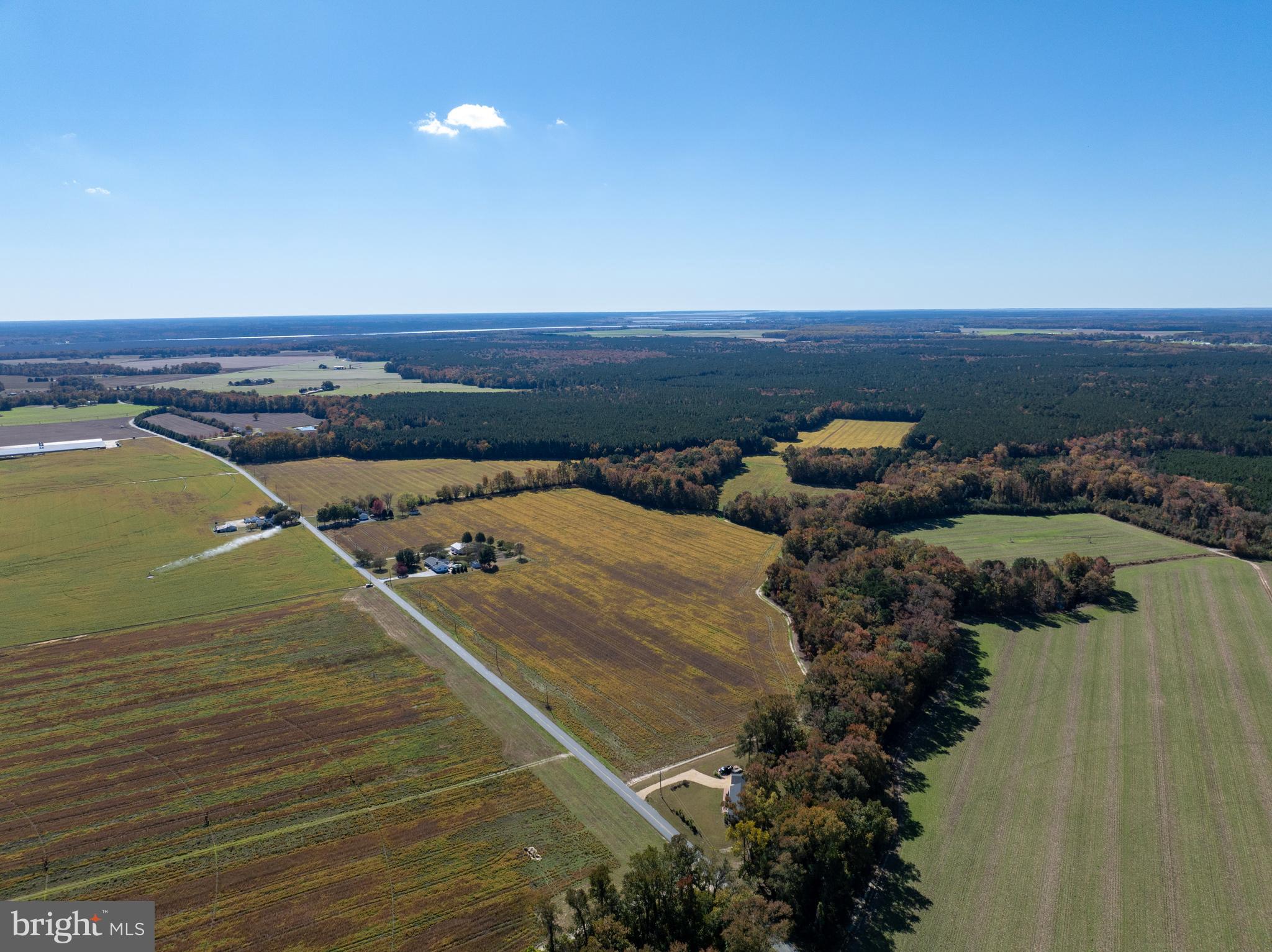 Indiantown Road Rhodesdale, MD 21659 - Photo 10 of 19