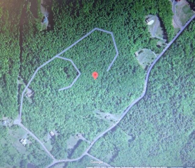 219 Bailey Road Jewett, NY 12444 - Photo 5 of 5 a view of a small yard