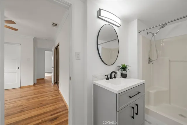 a bathroom with a sink mirror and a shower
