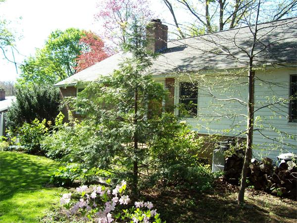 175 Topsfield Road Wenham, MA 01984 - Photo 1 of 9 Gallery Image 1