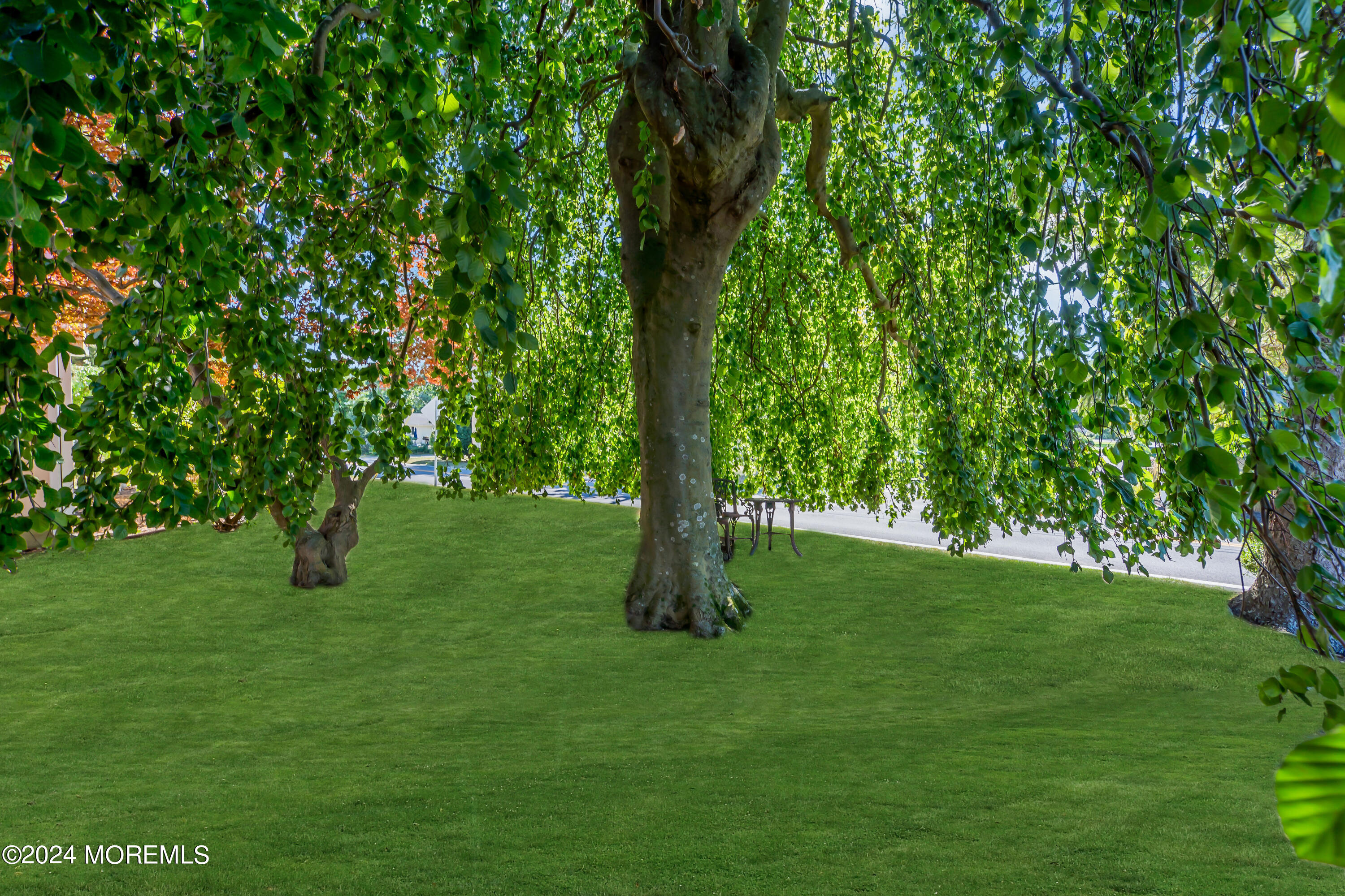 108 Motor Road Pine Beach, NJ 08741 - Photo 11 of 84 070_dsc02439-1_39