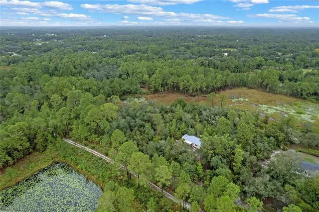 an outdoor space with plants