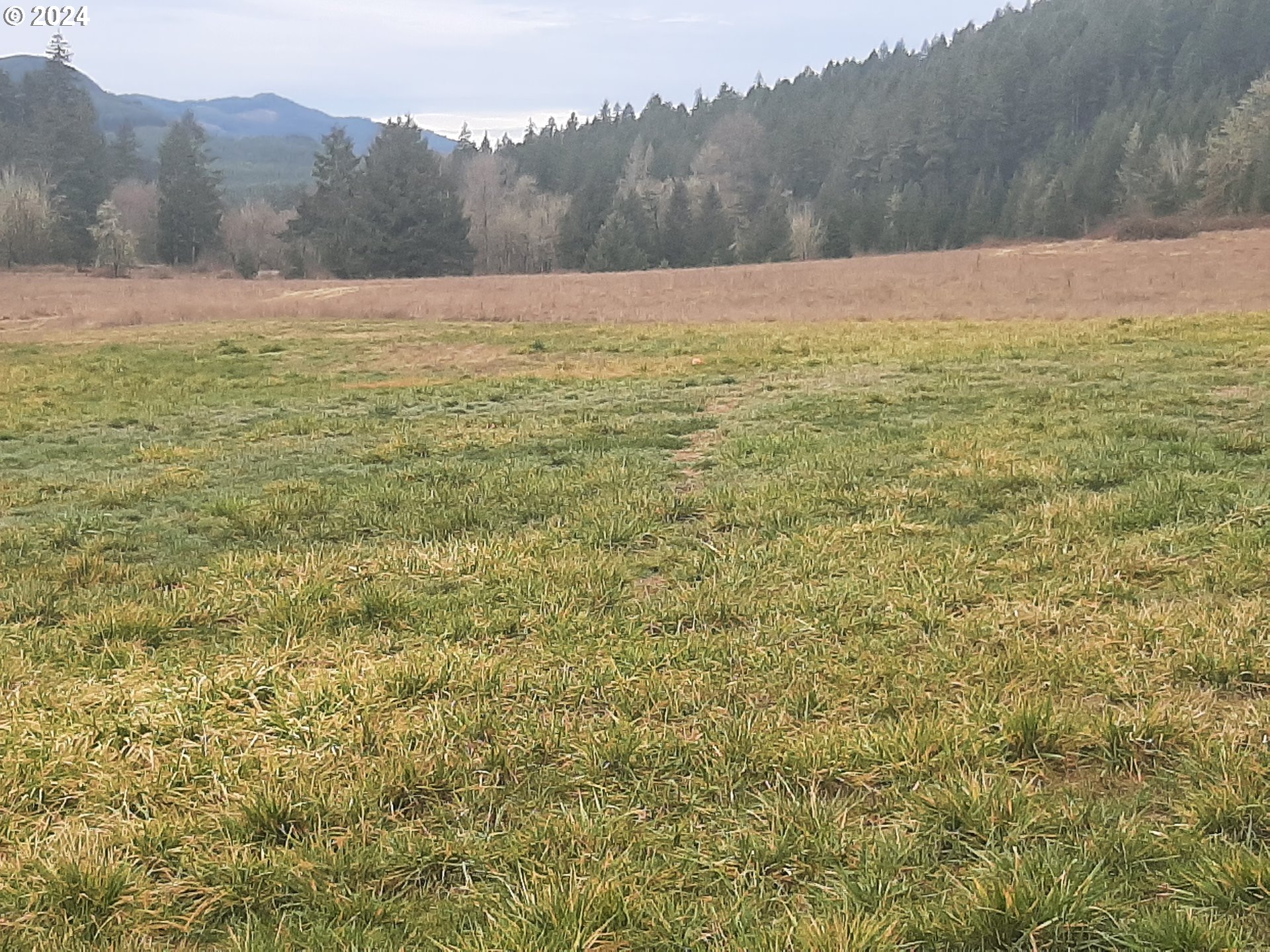 39935 Layng Creek Road Dorena, OR 97434 - Photo 2 of 11 a view of a field with an ocean