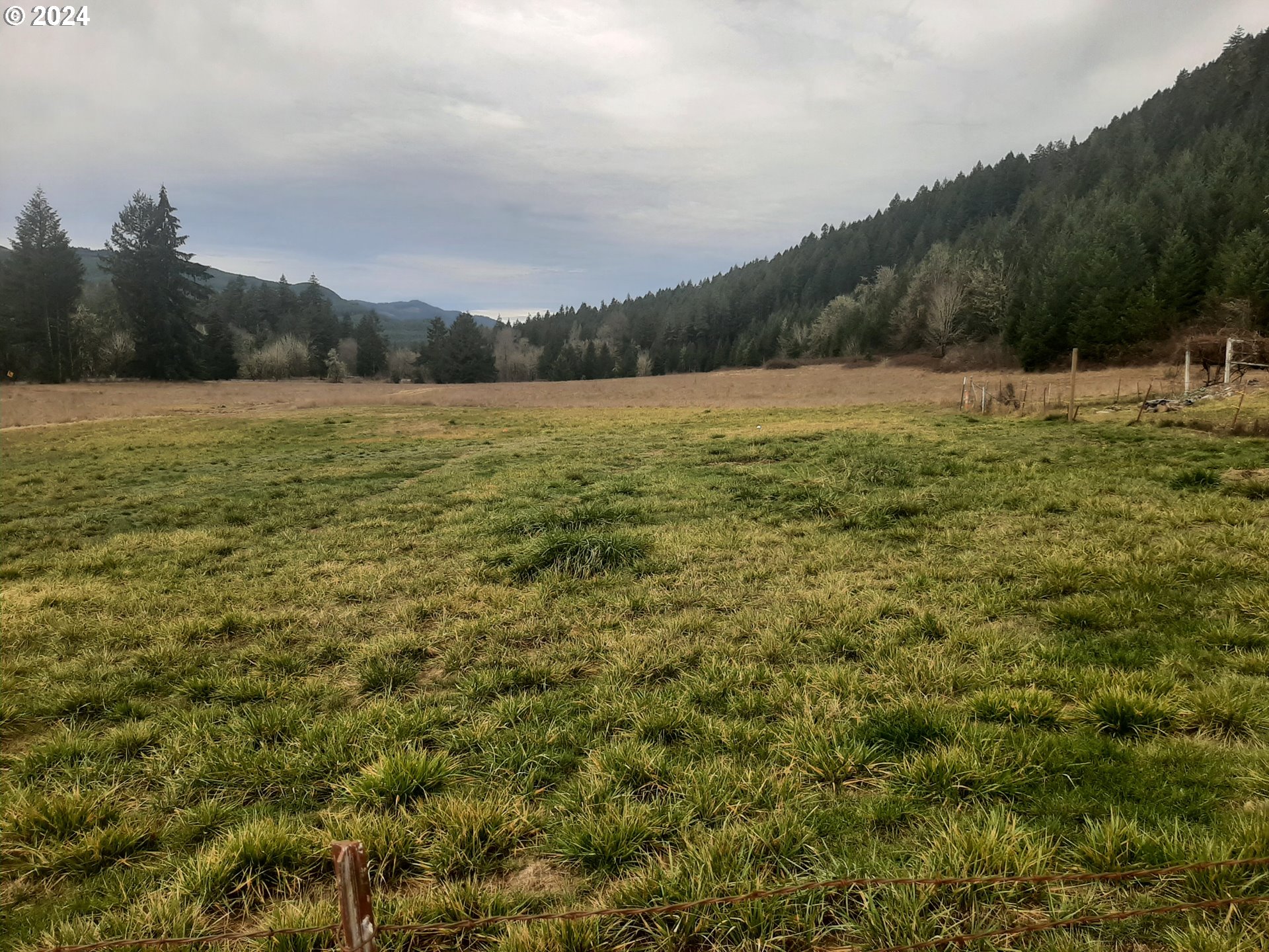 39935 Layng Creek Road Dorena, OR 97434 - Photo 3 of 11 a view of a lake with houses in the back