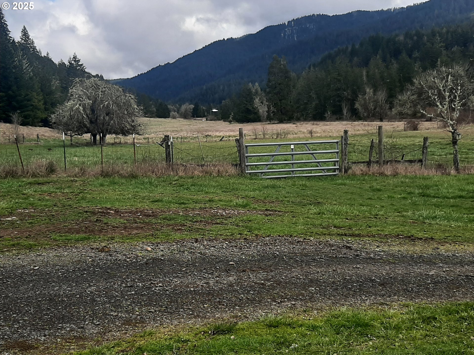 39935 Layng Creek Road Dorena, OR 97434 - Photo 6 of 11 a view of a grassy field
