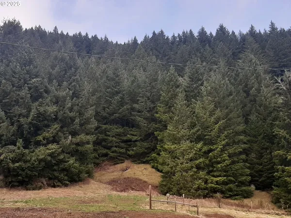 $750,000 | 39935 Layng Creek Road, Dorena, OR 97434