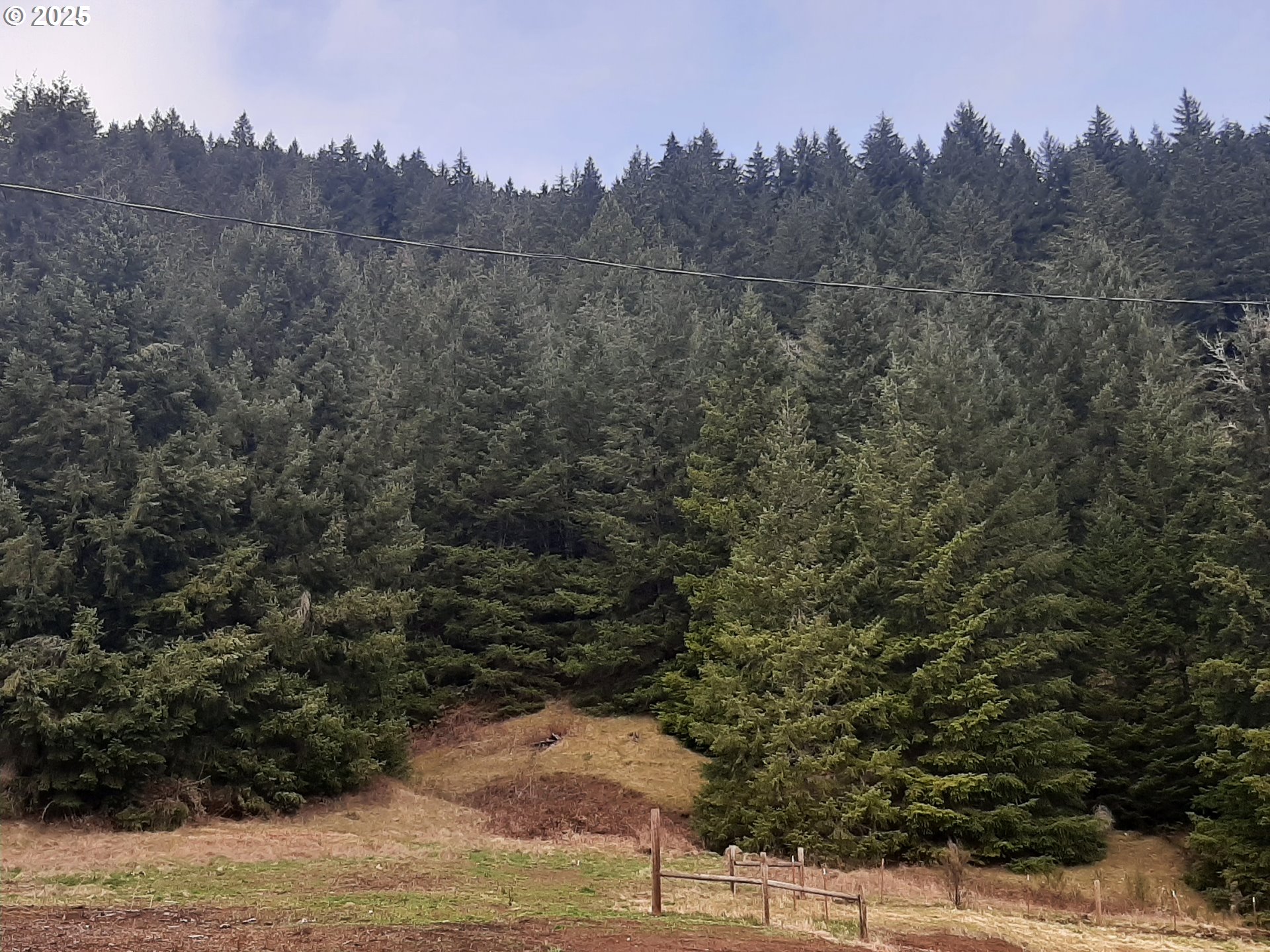 39935 Layng Creek Road Dorena, OR 97434 - Photo 7 of 11 a view of a field