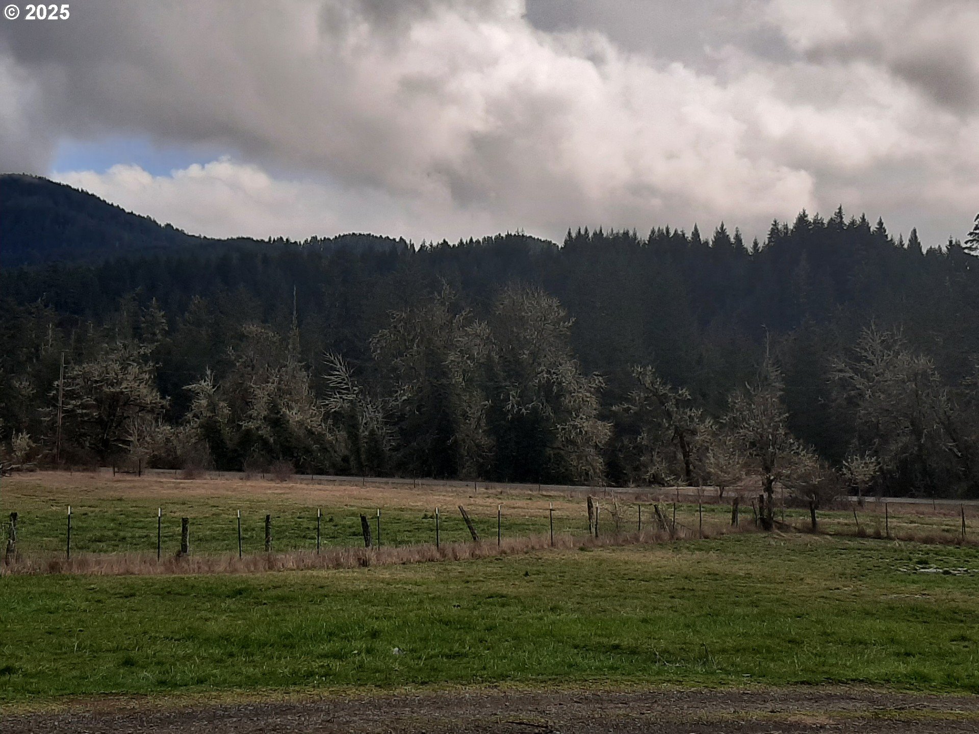 39935 Layng Creek Road Dorena, OR 97434 - Photo 8 of 11 a view of a grassy field