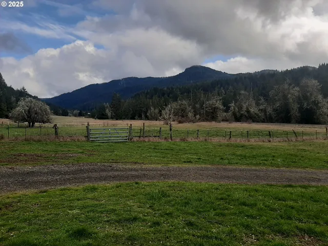 a view of grassy field with mountain