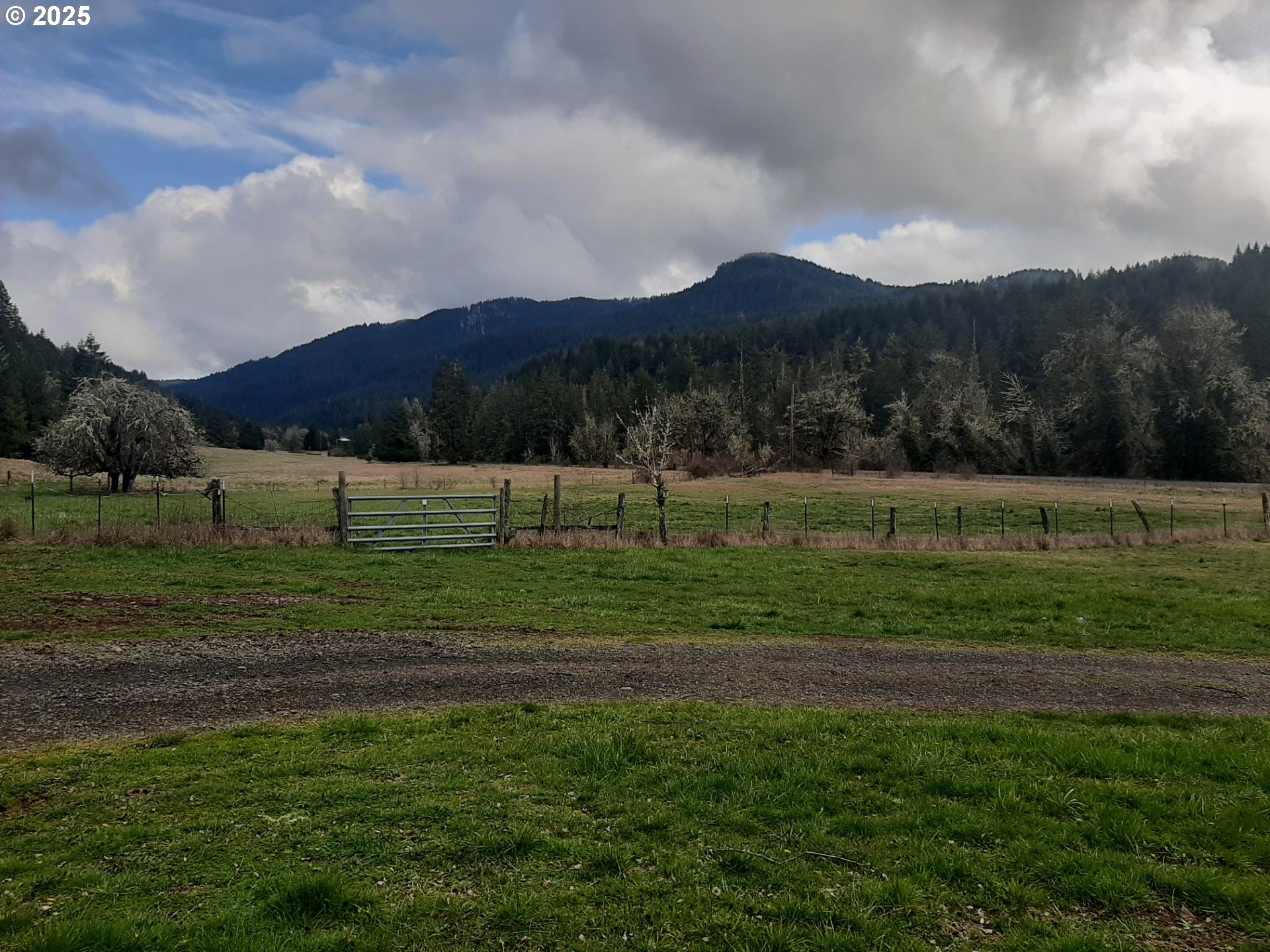 39935 Layng Creek Road Dorena, OR 97434 - Photo 9 of 11 a view of grassy field with mountain