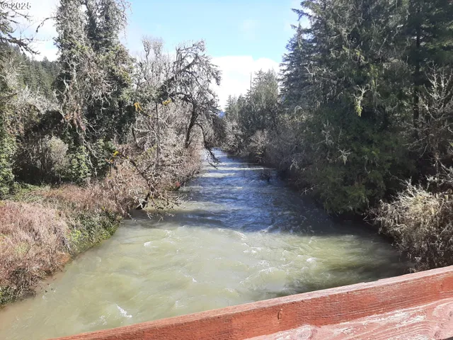 a view of a yard with large trees