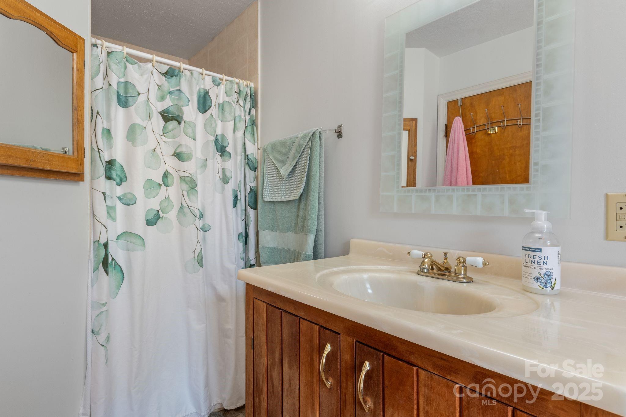 22 Morgan Branch Road Weaverville, NC 28787 - Photo 23 of 47 a bathroom with a sink and a mirror