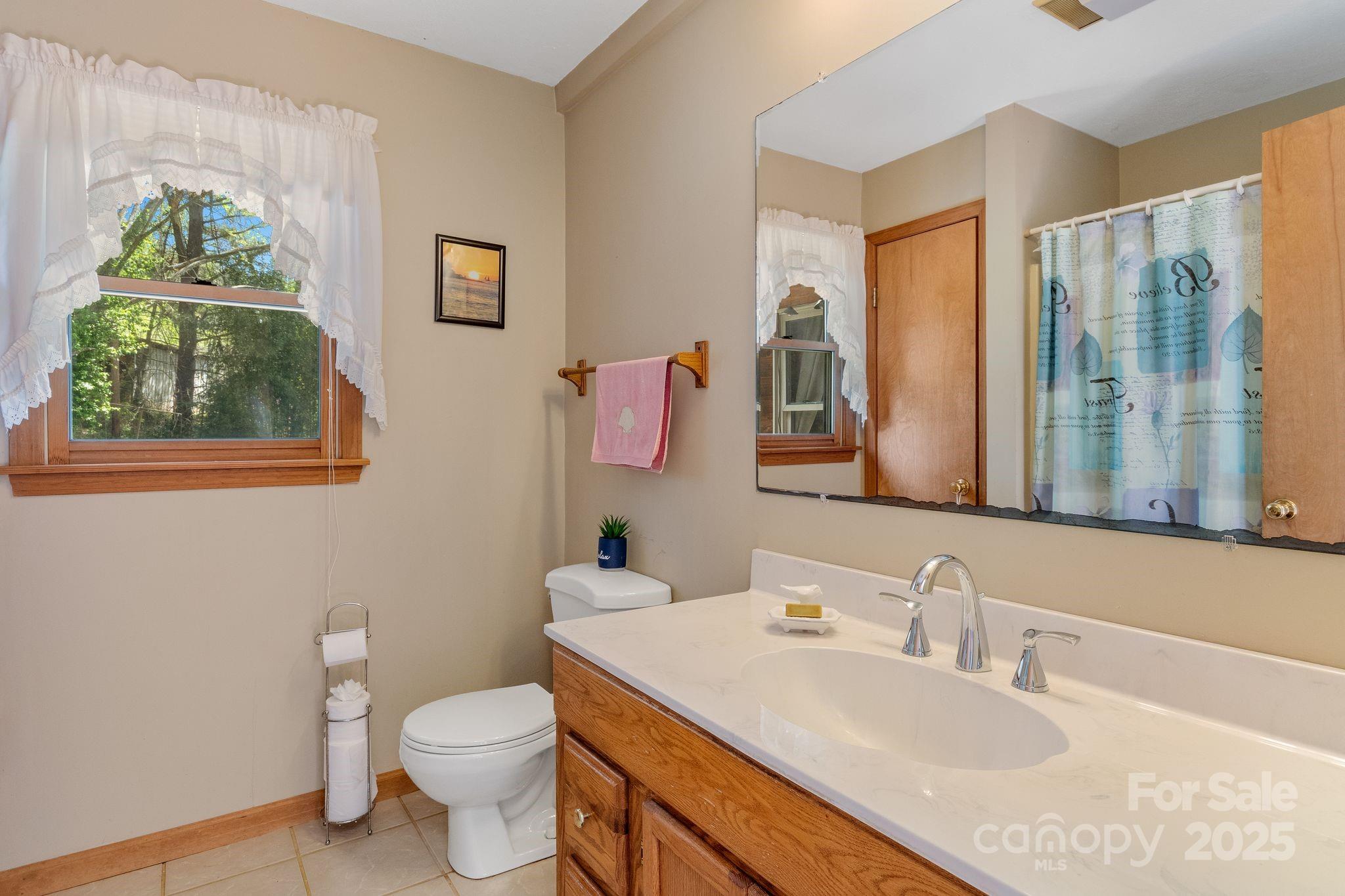 22 Morgan Branch Road Weaverville, NC 28787 - Photo 29 of 47 a bathroom with a granite countertop sink a large mirror and a toilet