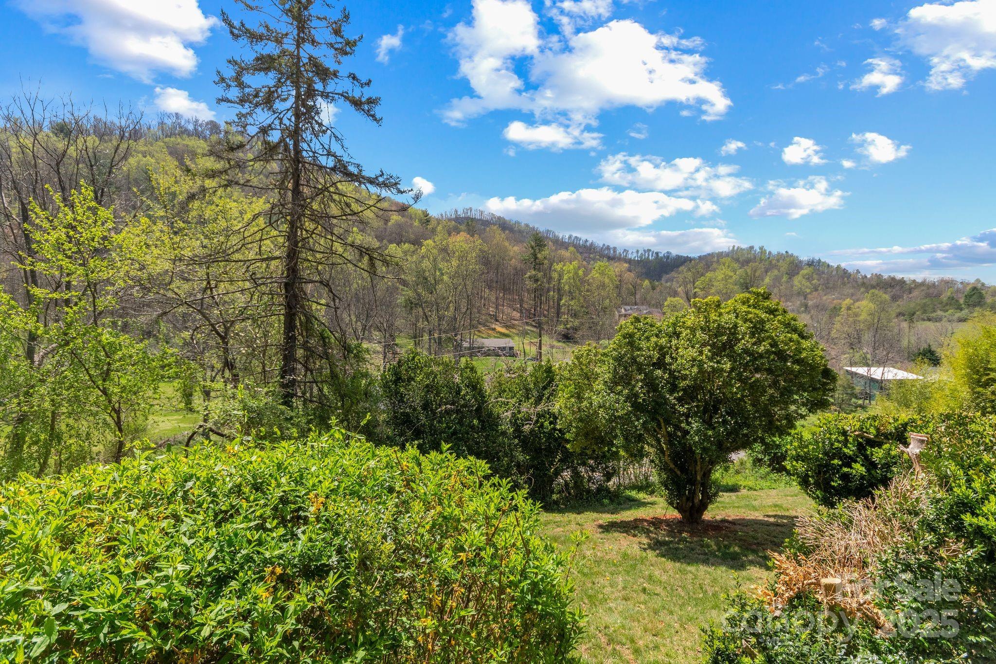 22 Morgan Branch Road Weaverville, NC 28787 - Photo 34 of 47 a view of a yard with a tree