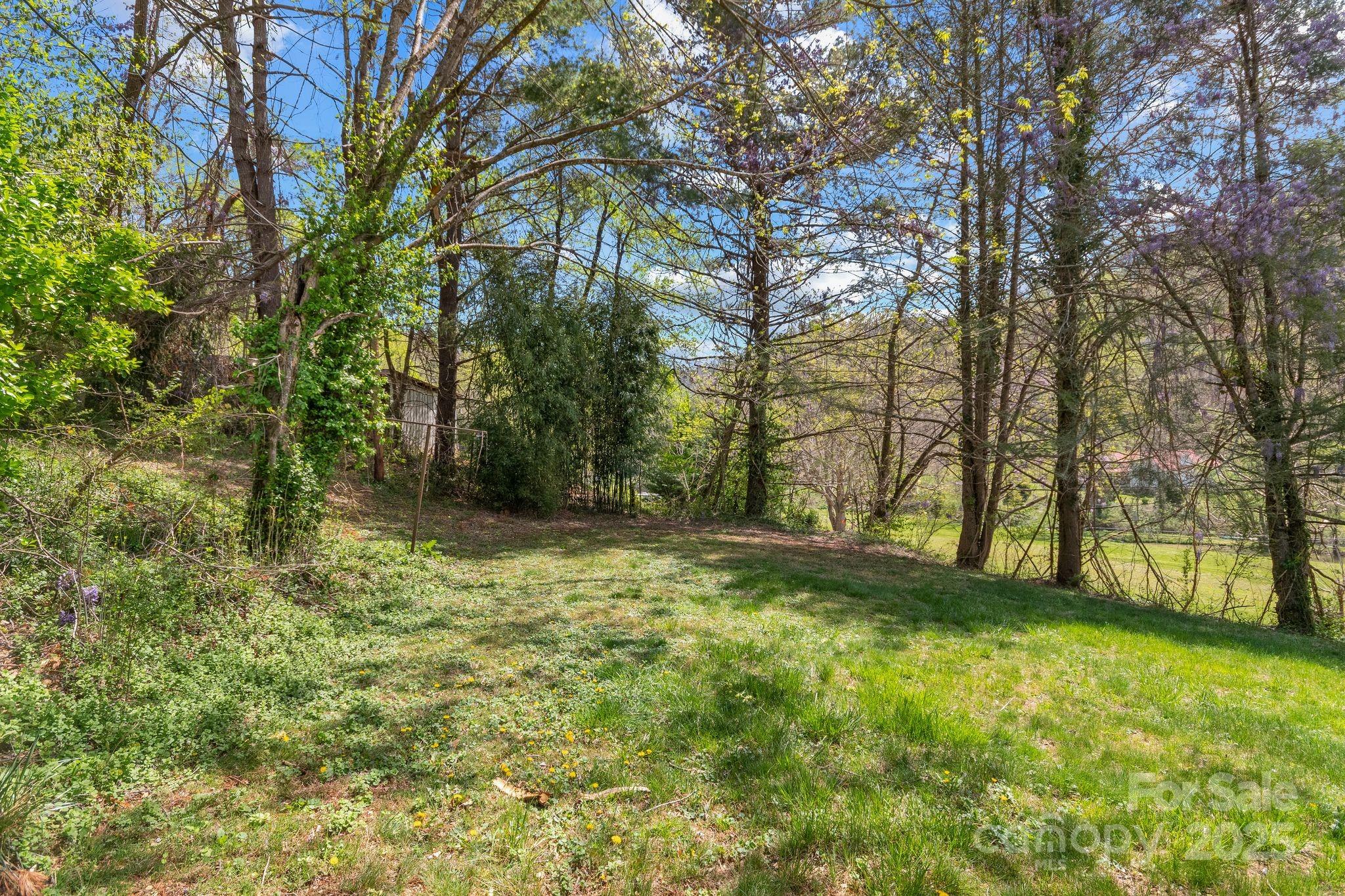 22 Morgan Branch Road Weaverville, NC 28787 - Photo 36 of 47 a view of backyard with green space