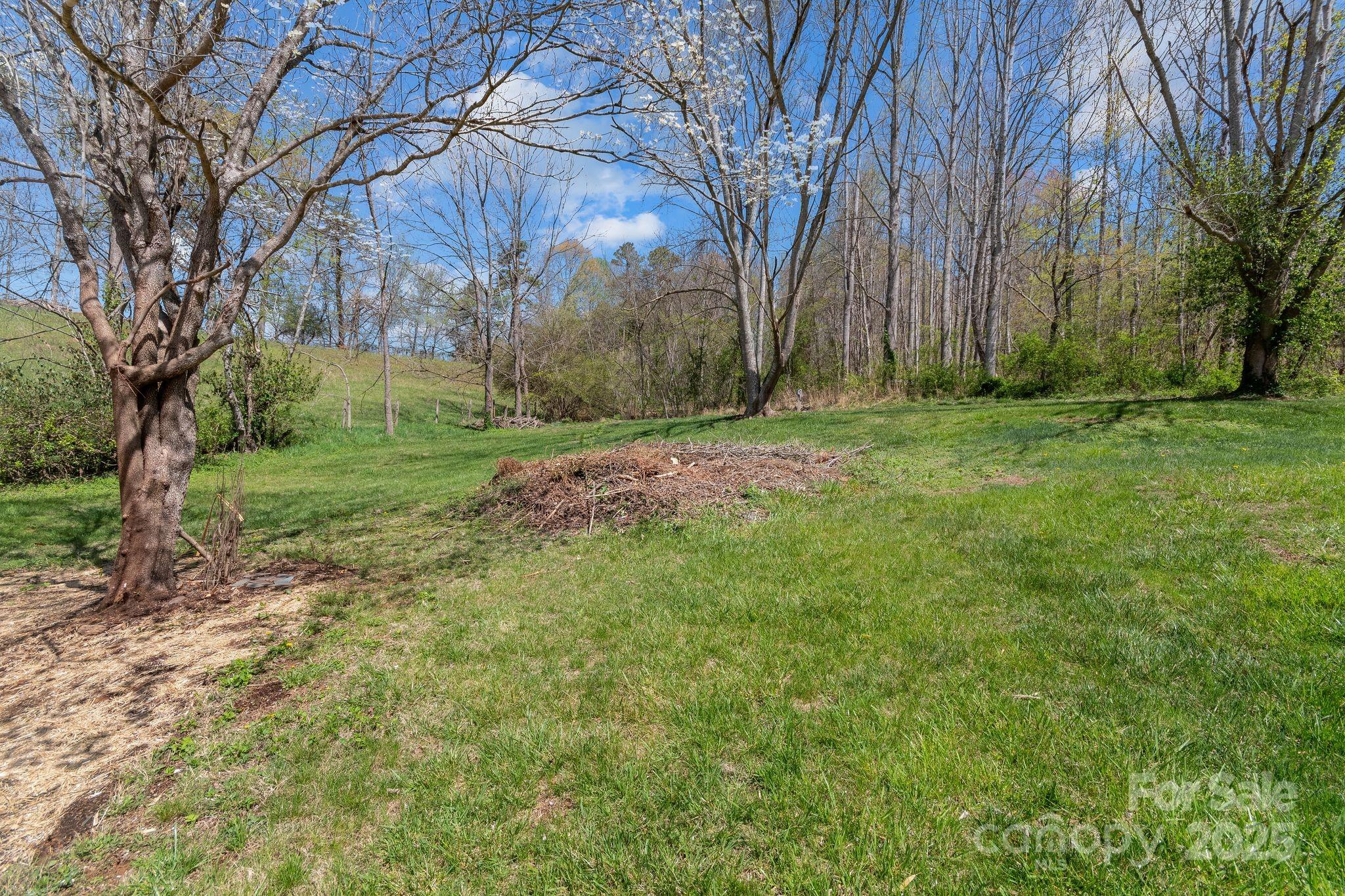 22 Morgan Branch Road Weaverville, NC 28787 - Photo 40 of 47 a view of a yard with palm trees