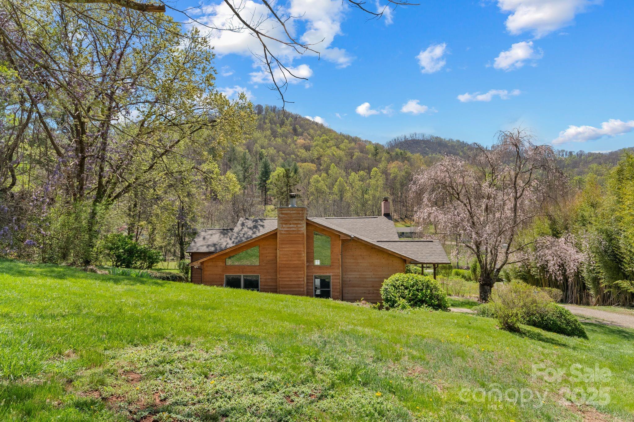 22 Morgan Branch Road Weaverville, NC 28787 - Photo 41 of 47 a view of a big yard with potted plants and large trees