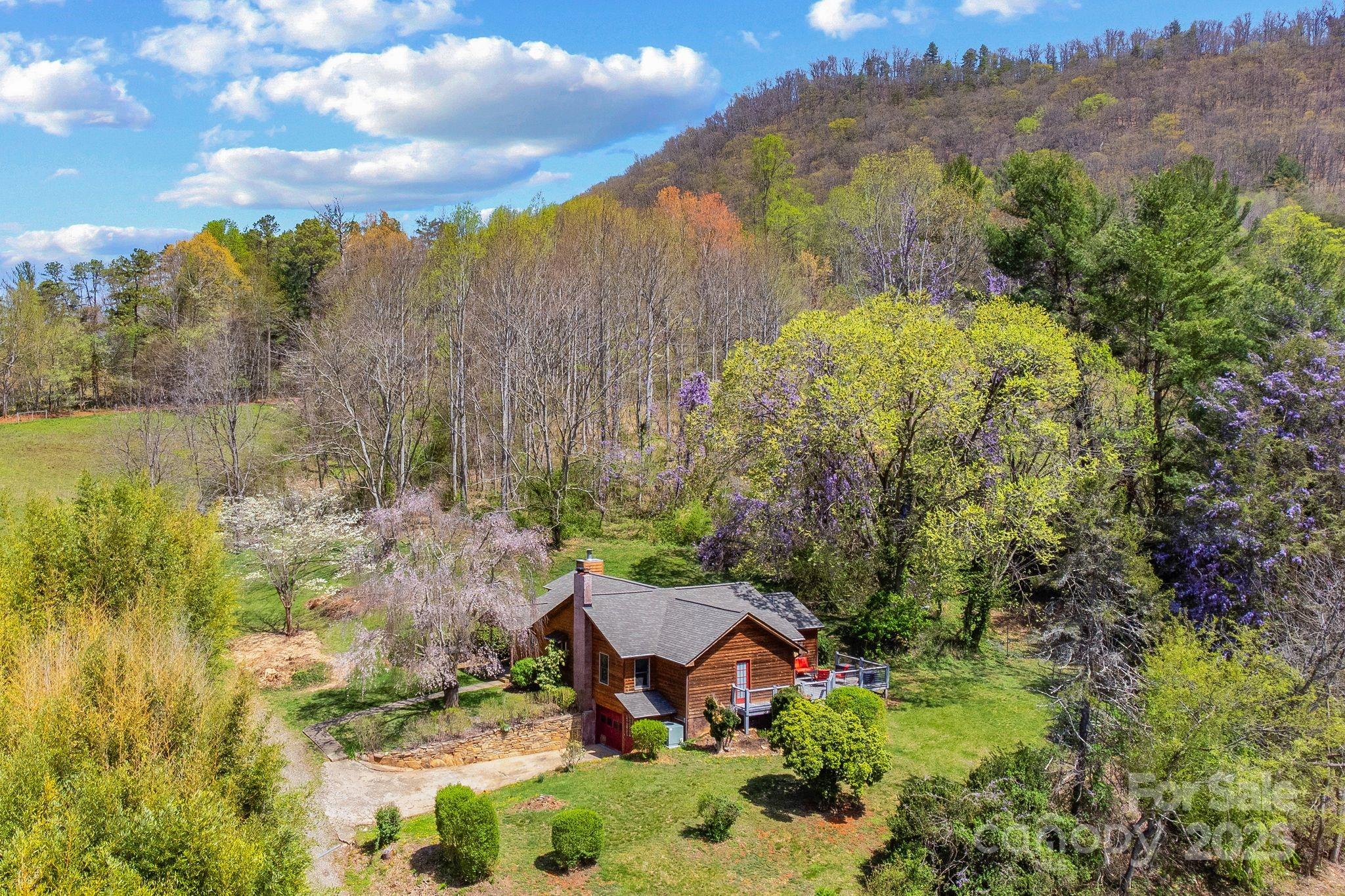22 Morgan Branch Road Weaverville, NC 28787 - Photo 43 of 47 a view of a garden with mountain