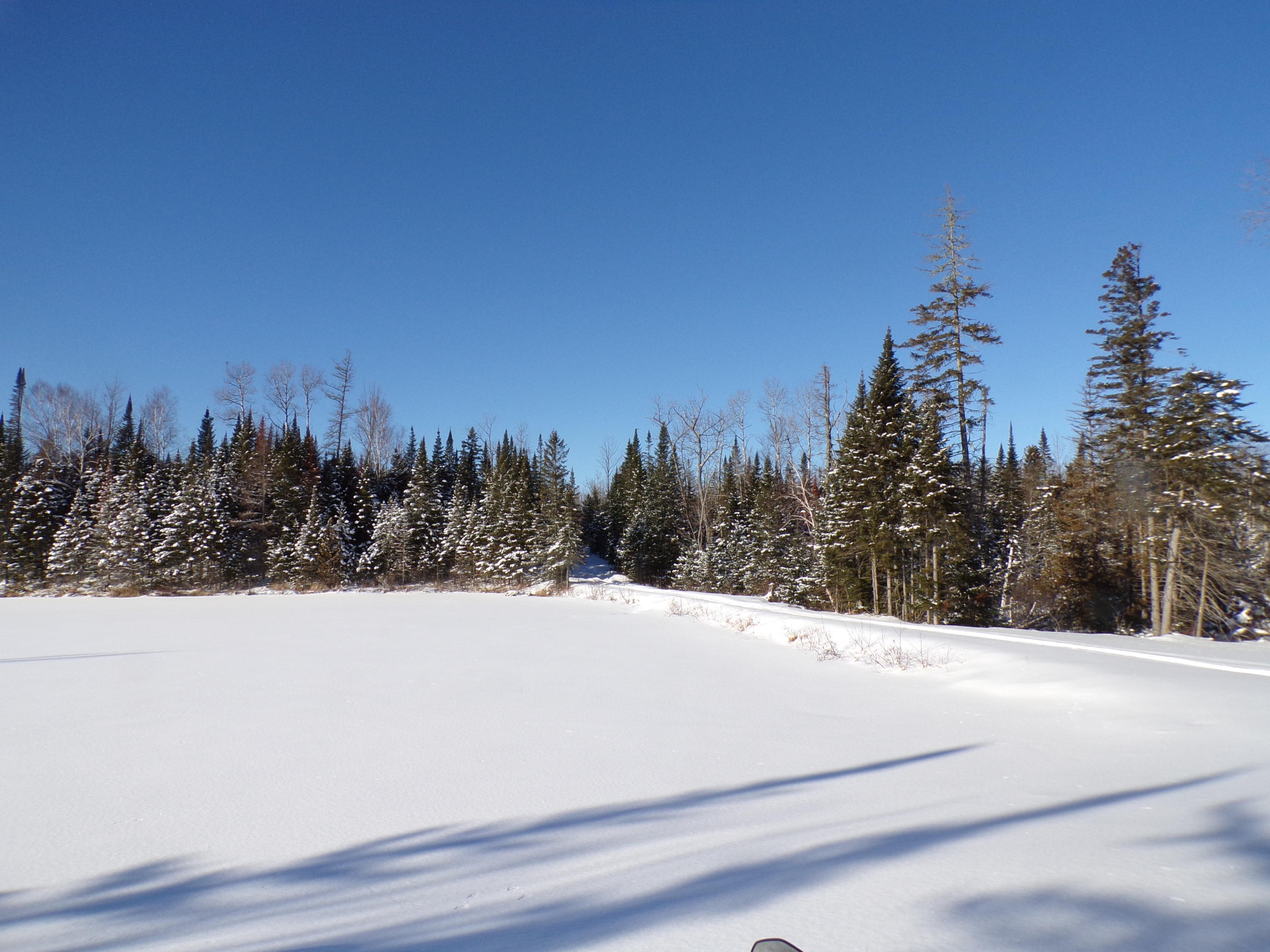90 Lathrop Road Presque Isle, ME 04769 - Photo 7 of 31 view from cabin across pond to driveway