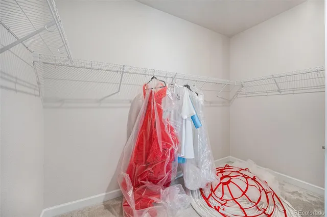 a view of walk in closet with clothes and shoes
