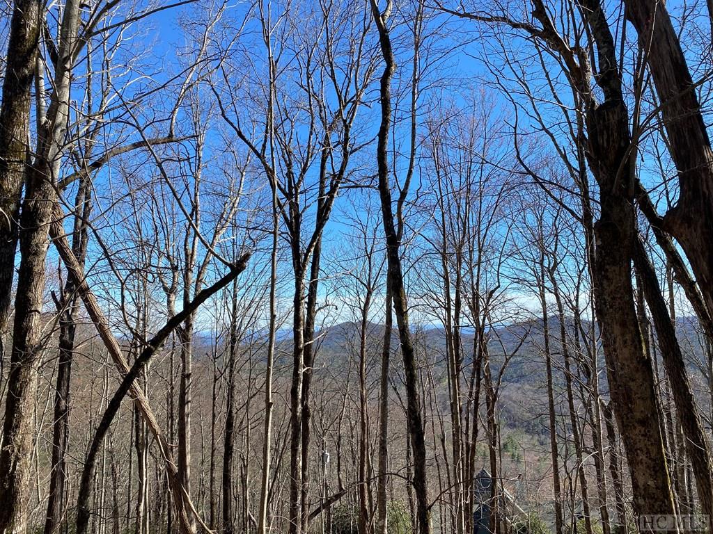 Lot 10 Tower Road Sapphire, NC 28774 - Photo 6 of 23 Gallery Image 6