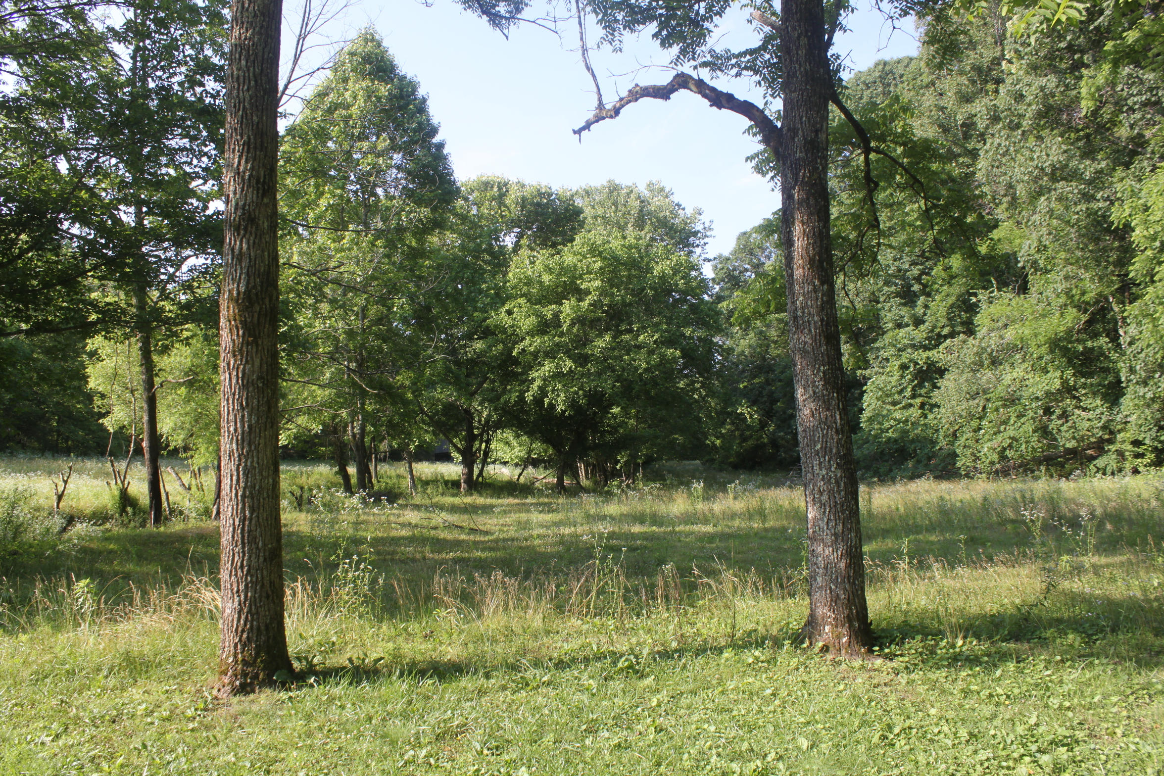 272 Cave Creek Road Loudon, TN 37774 - Photo 2 of 25 IMG_5297