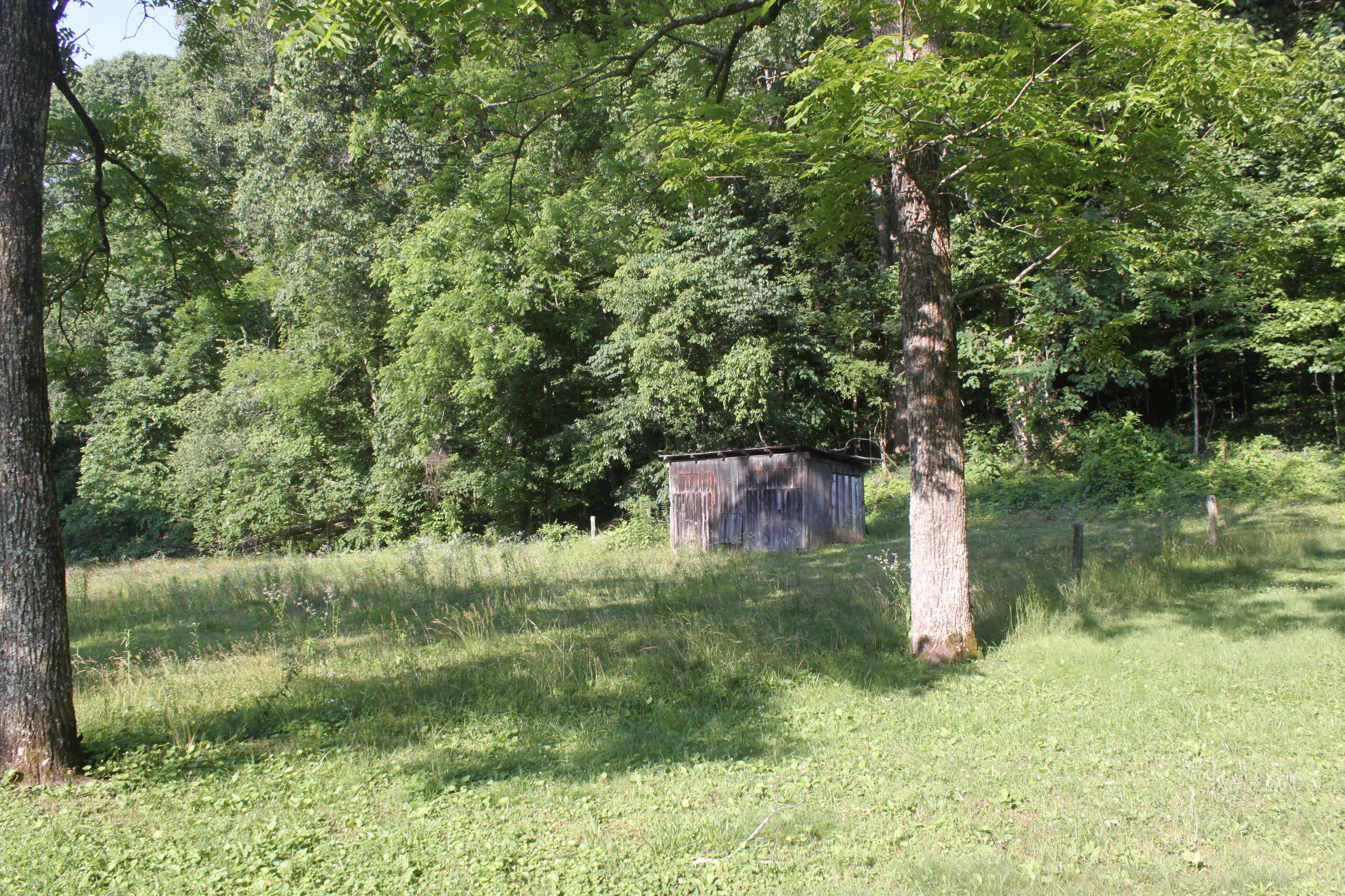 272 Cave Creek Road Loudon, TN 37774 - Photo 3 of 25 IMG_5296