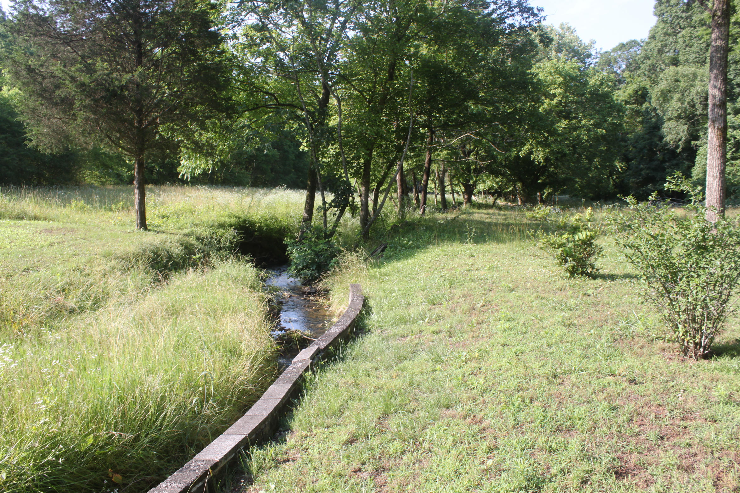 272 Cave Creek Road Loudon, TN 37774 - Photo 5 of 25 IMG_5301