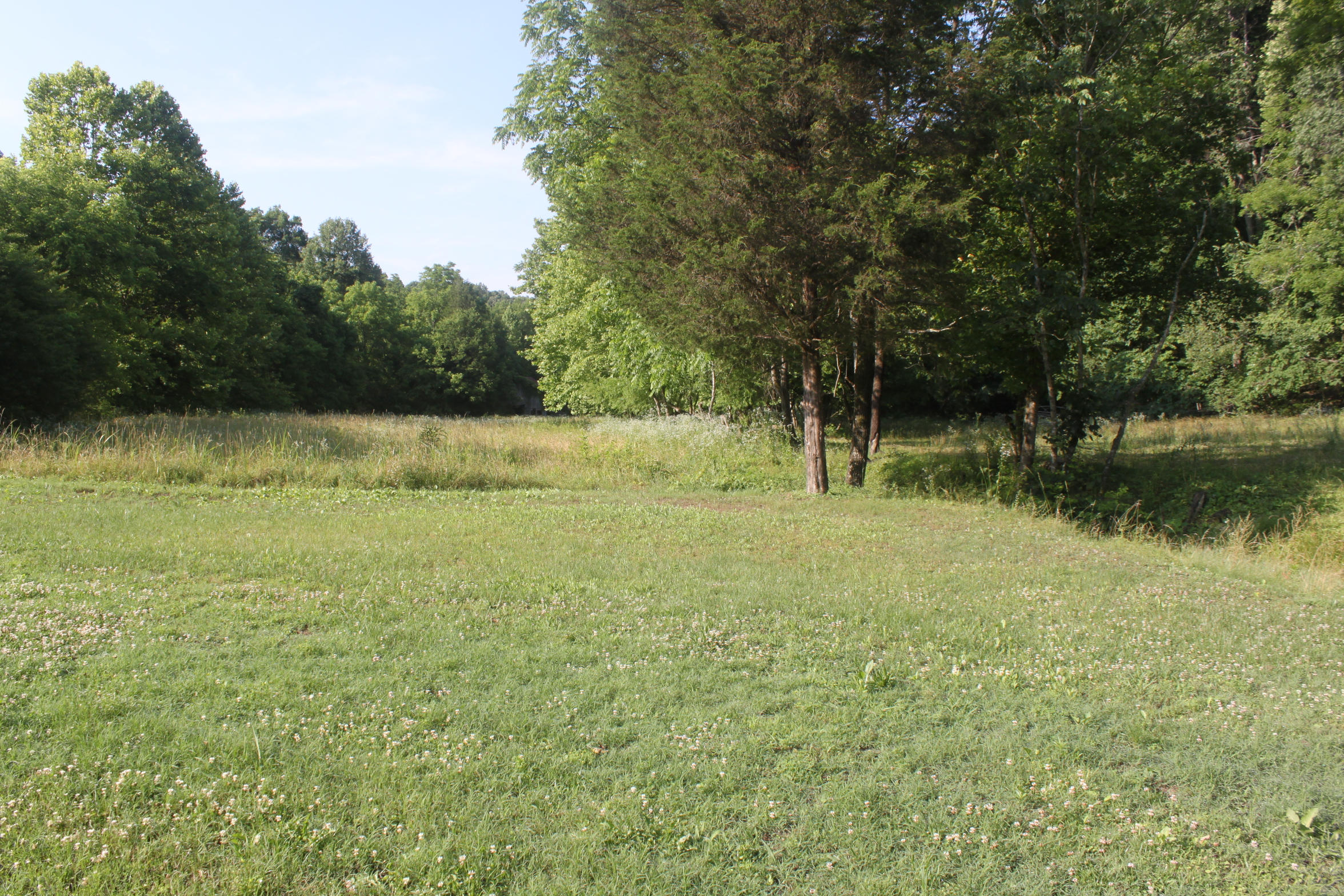 272 Cave Creek Road Loudon, TN 37774 - Photo 10 of 25 IMG_5303