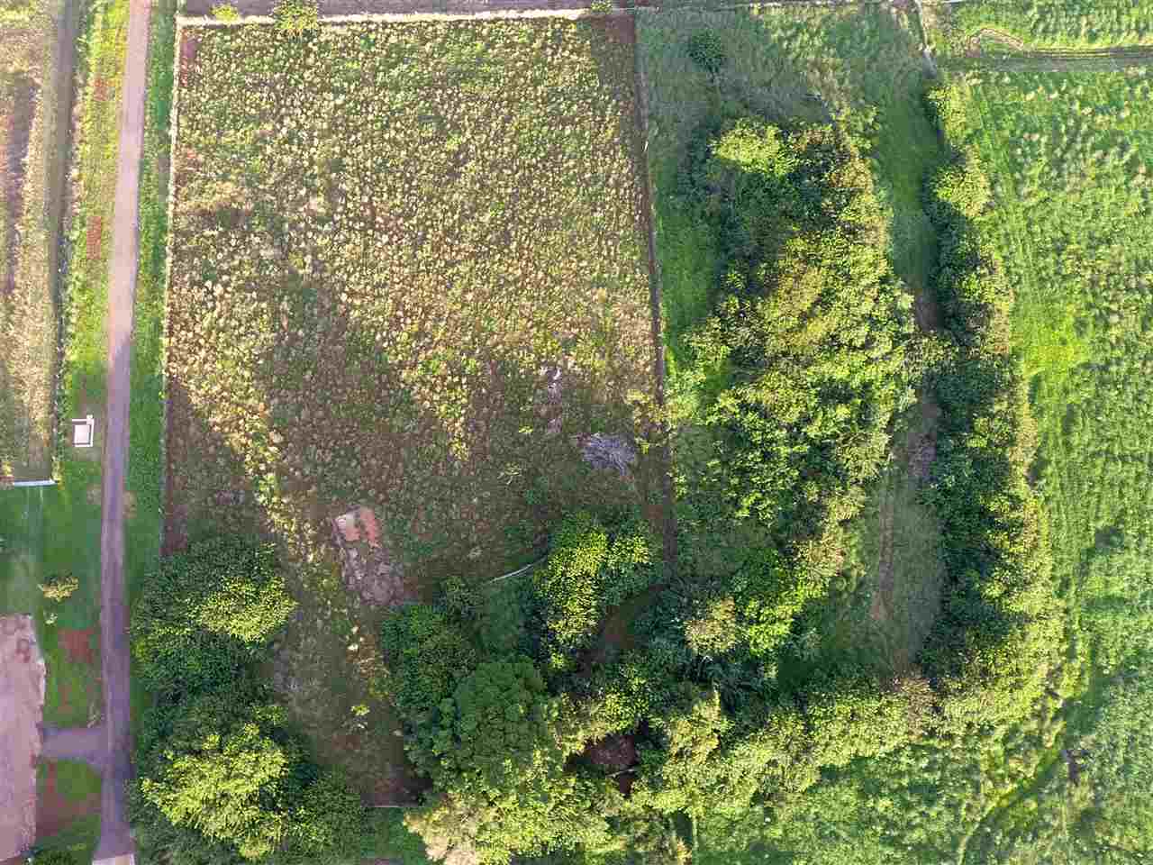 1855 Kauhikoa Road, Unit 223B Haiku, HI 96708 - Photo 6 of 9 a view of a garden