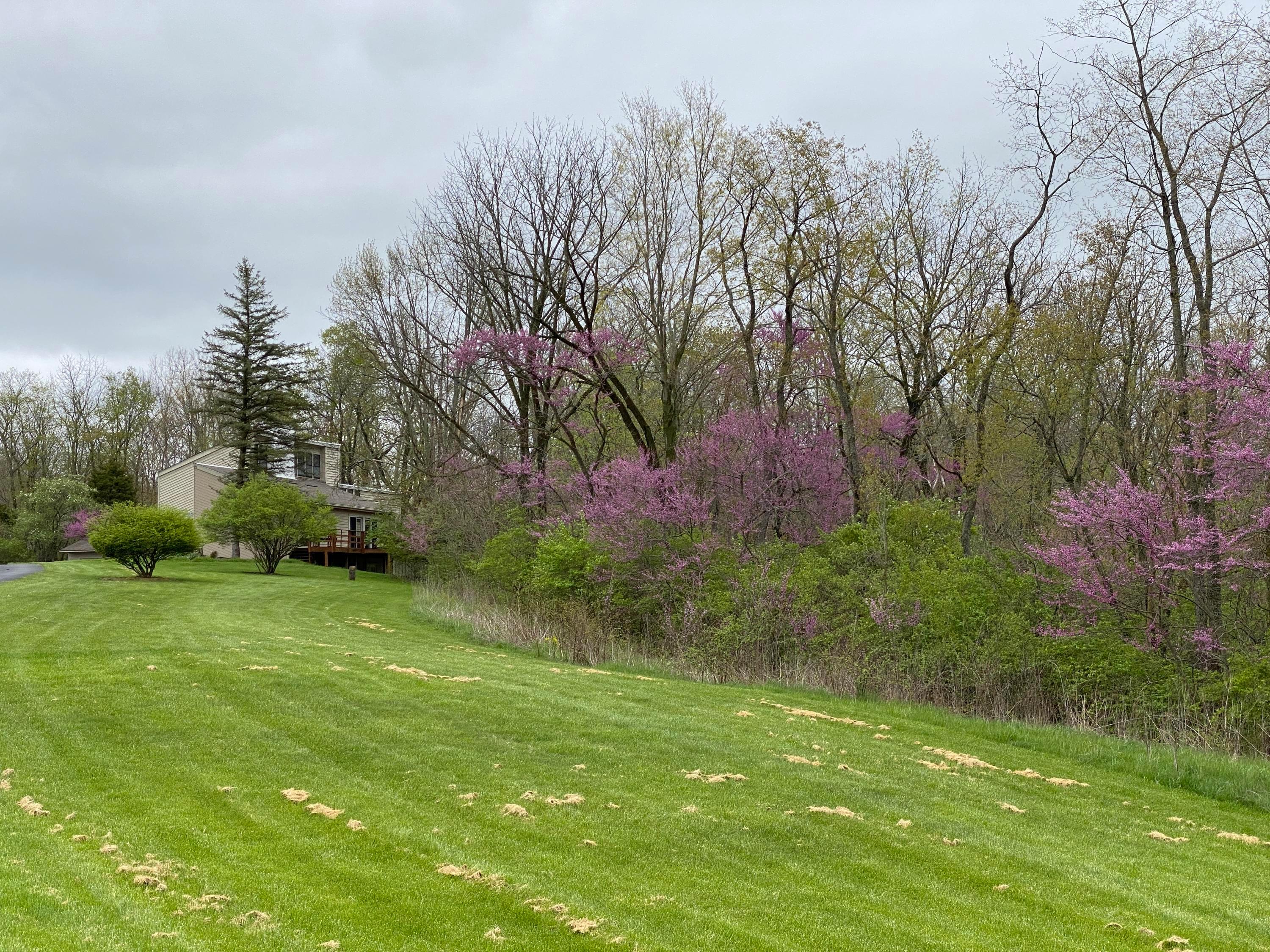 8501 Riverside Drive Powell, OH 43065 - Photo 5 of 70 Gallery Image 5