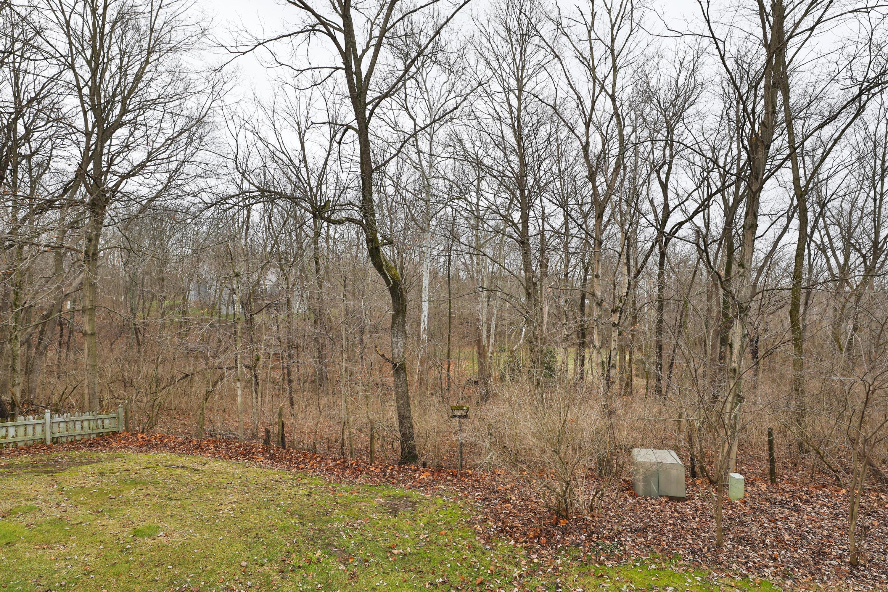 8501 Riverside Drive Powell, OH 43065 - Photo 51 of 70 Gallery Image 51