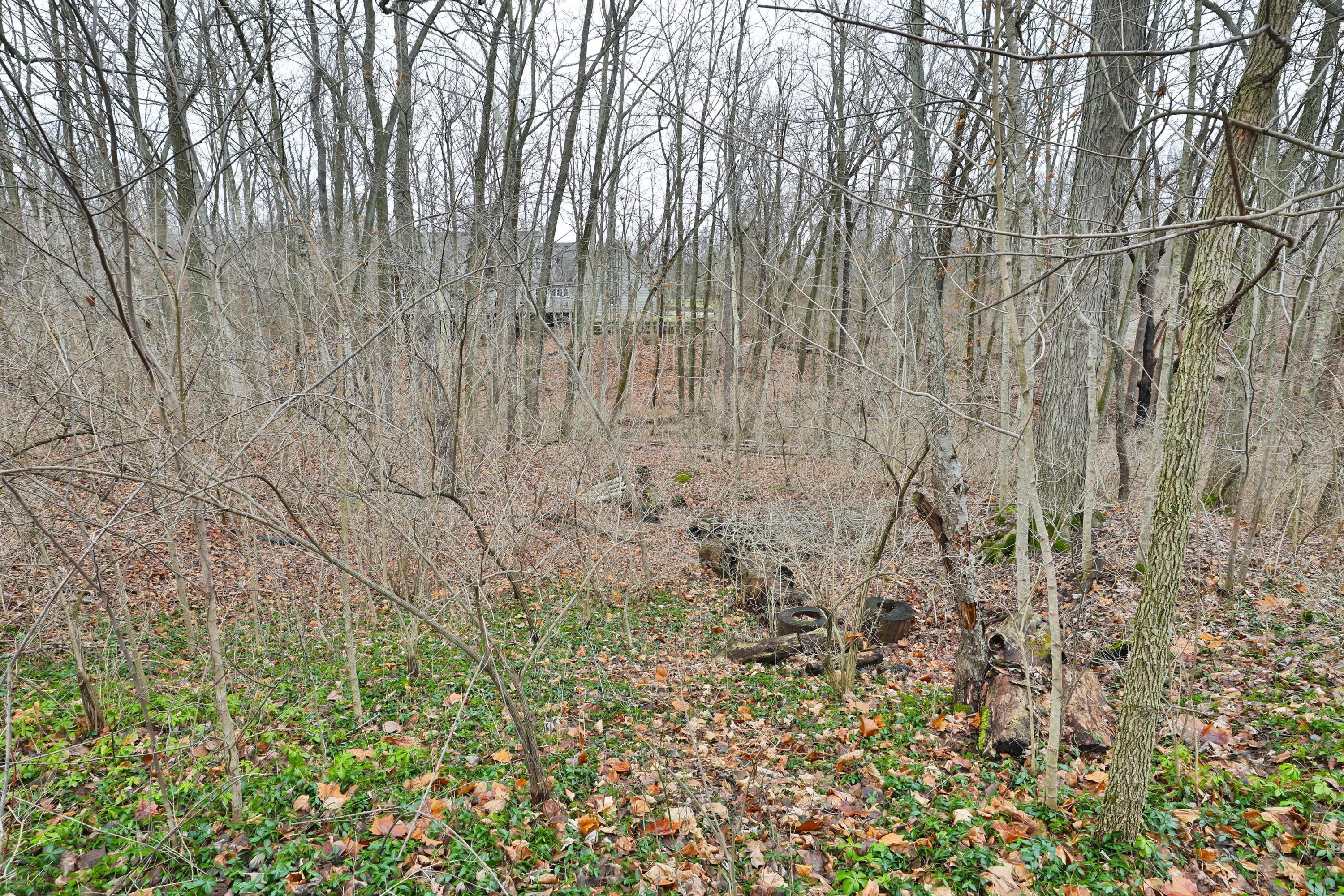 8501 Riverside Drive Powell, OH 43065 - Photo 57 of 70 Gallery Image 57
